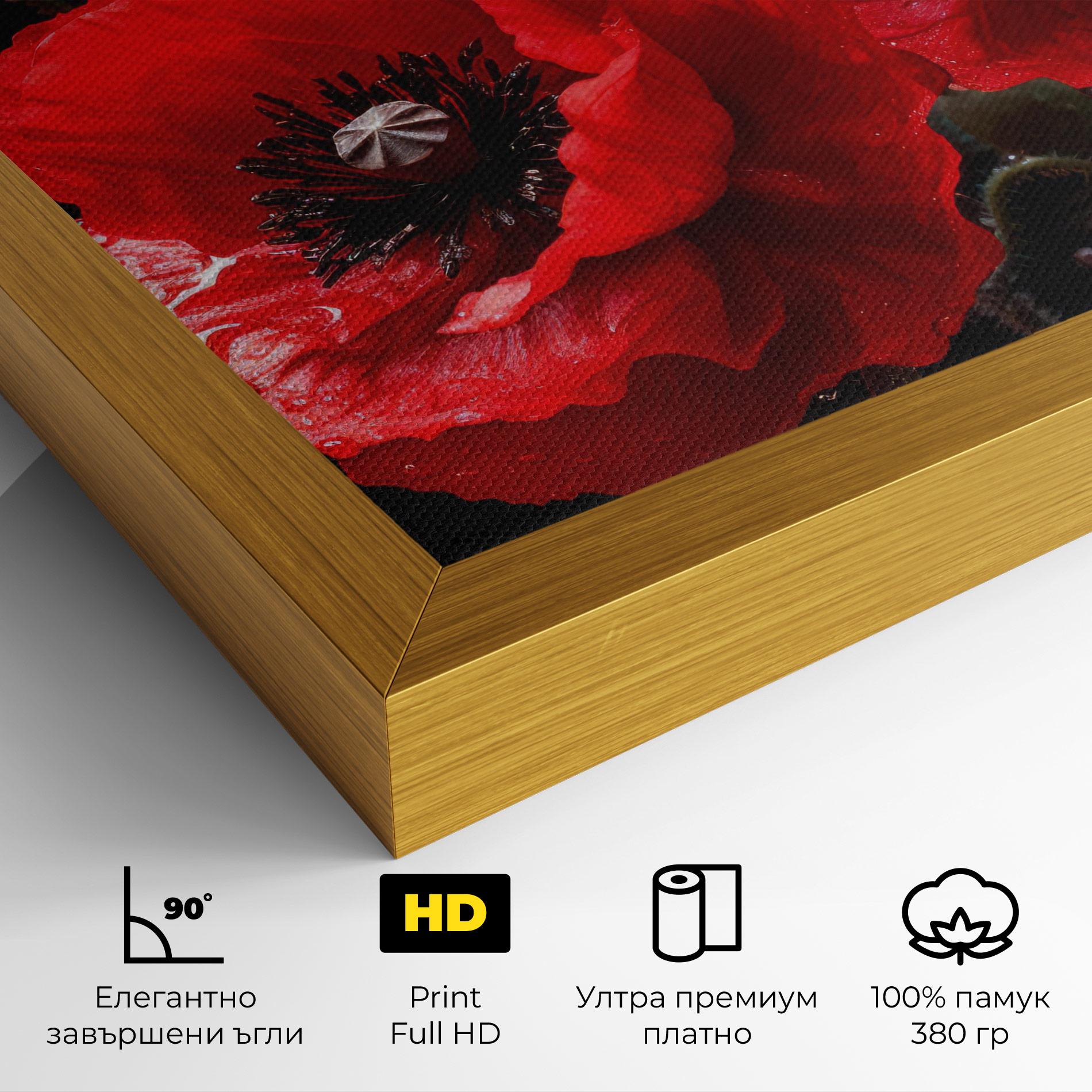 Картина на платно Red Poppy mockup 4
