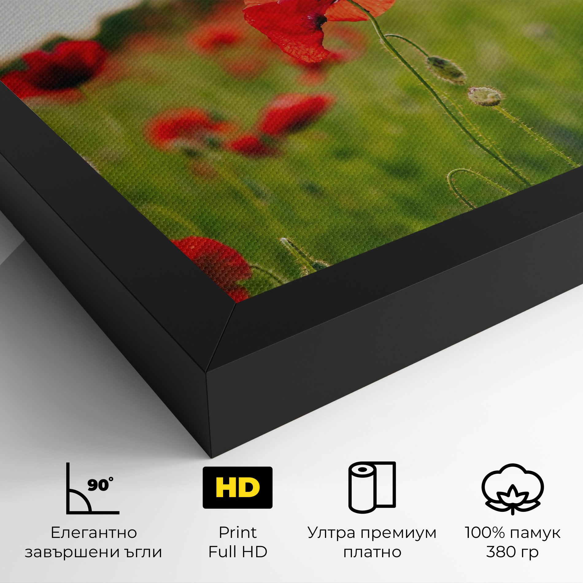 Poppies Field mockup 4