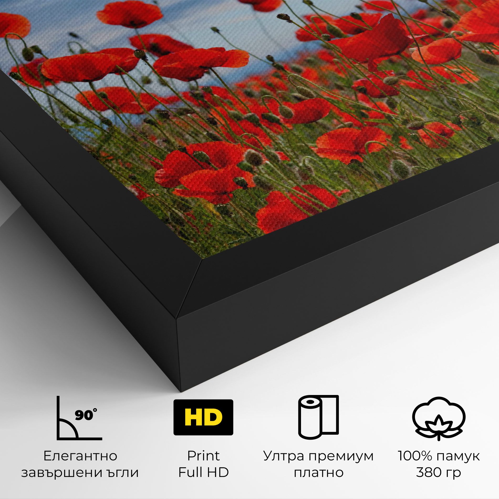 Poppy Field mockup 4
