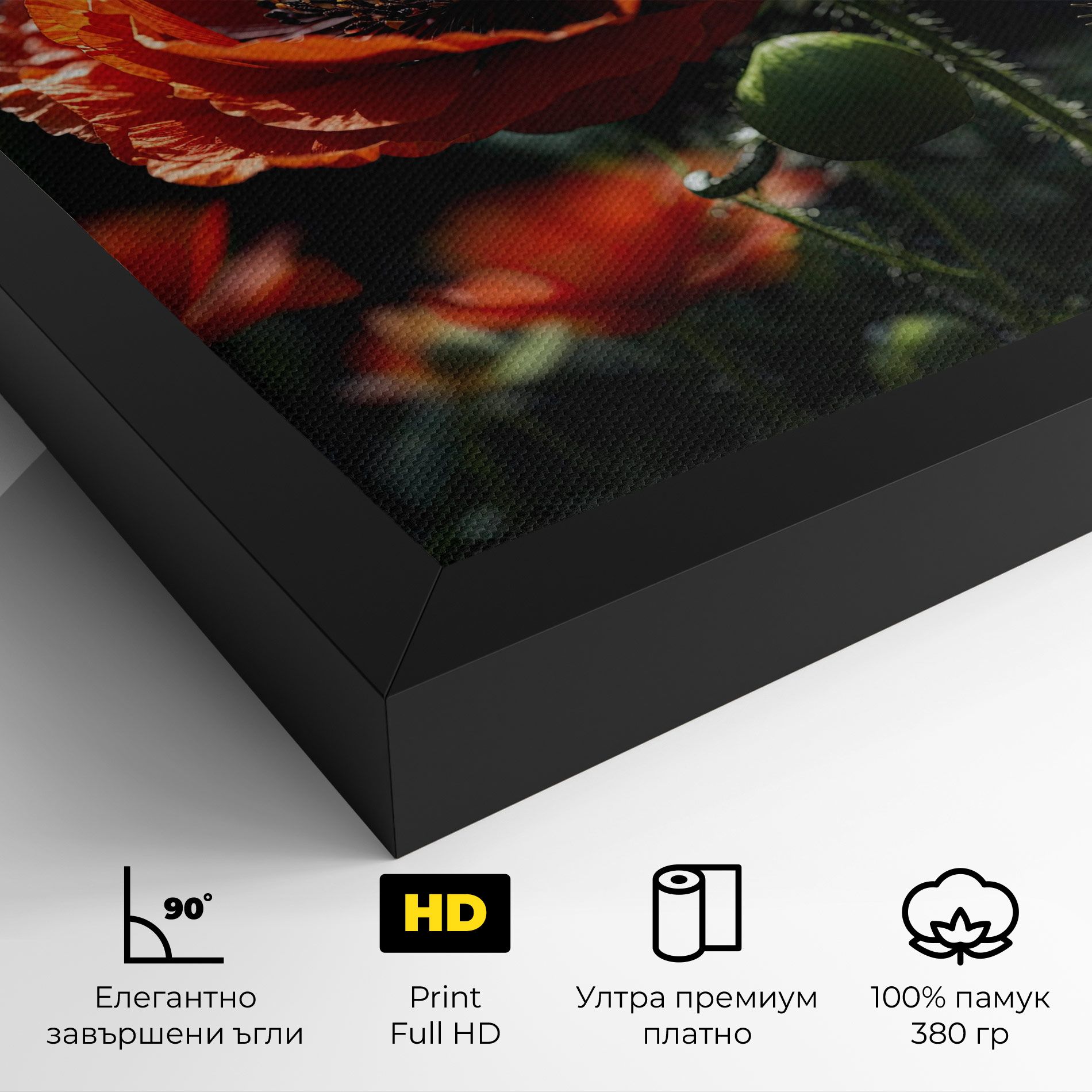 Red Poppy Close Up mockup 4