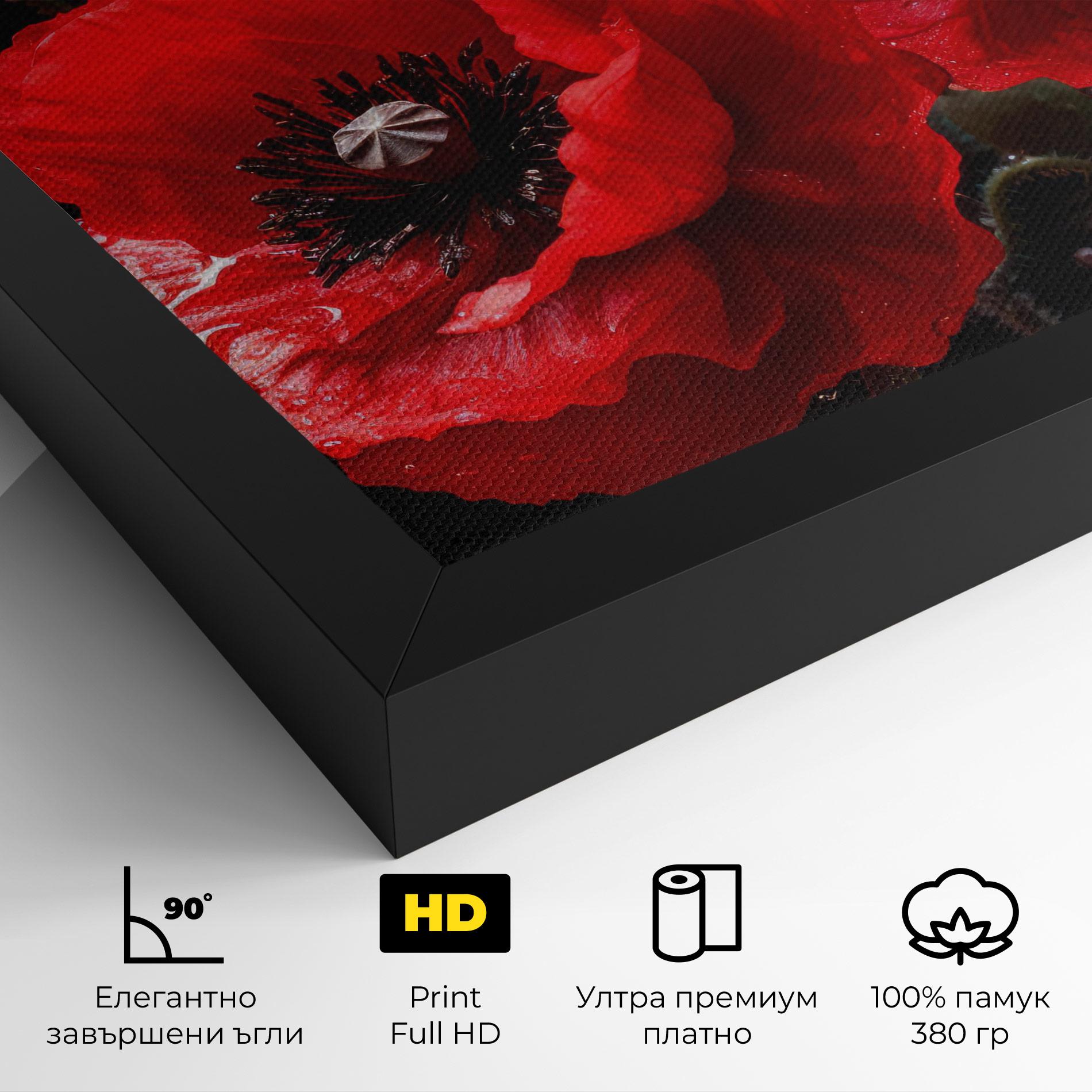 Картина на платно Red Poppy mockup 4