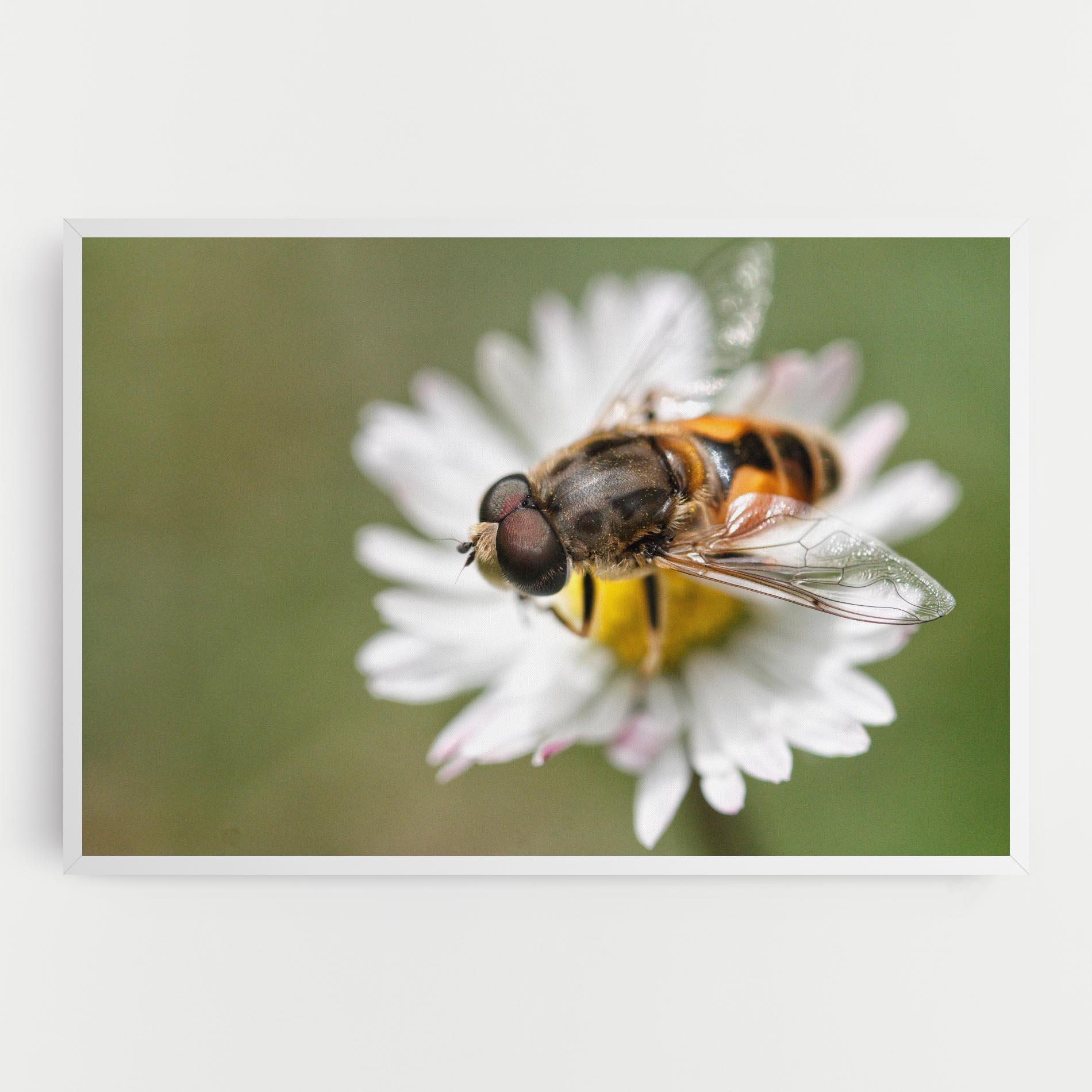 Картина на платно Bee On Small Daisy mockup 0
