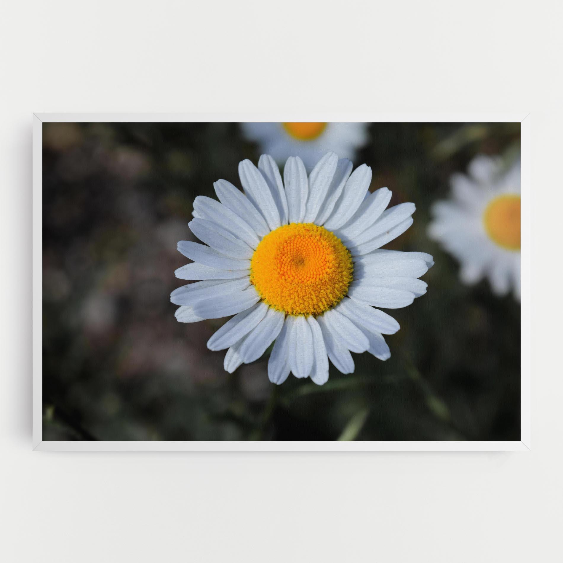 Картина на платно Strong Yellow Daisy mockup 0