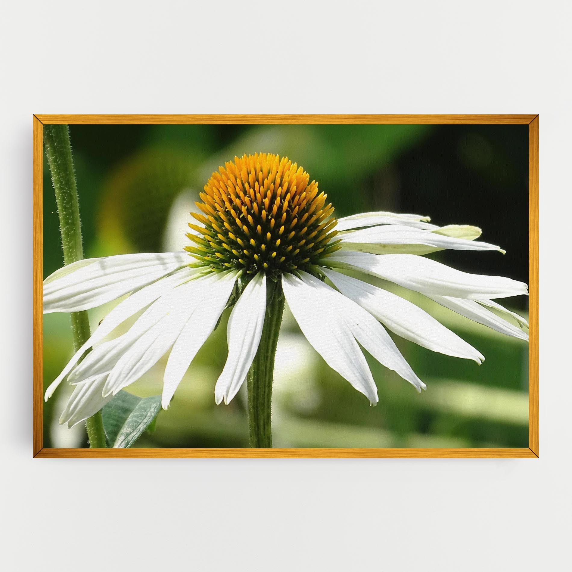 Green Daisy mockup 0