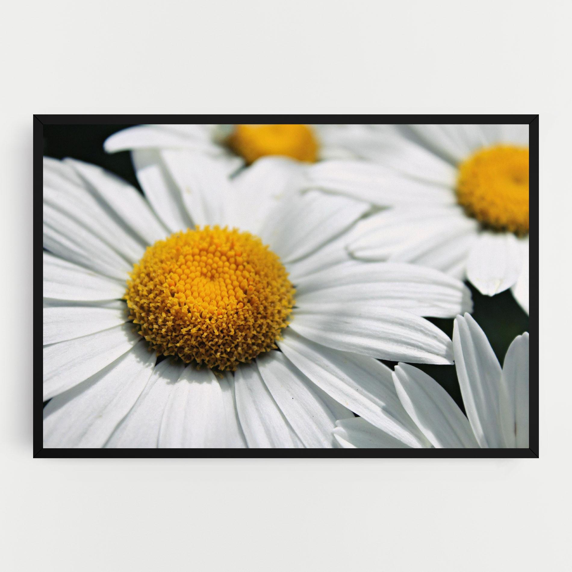 Картина на платно Big Daisies mockup 0