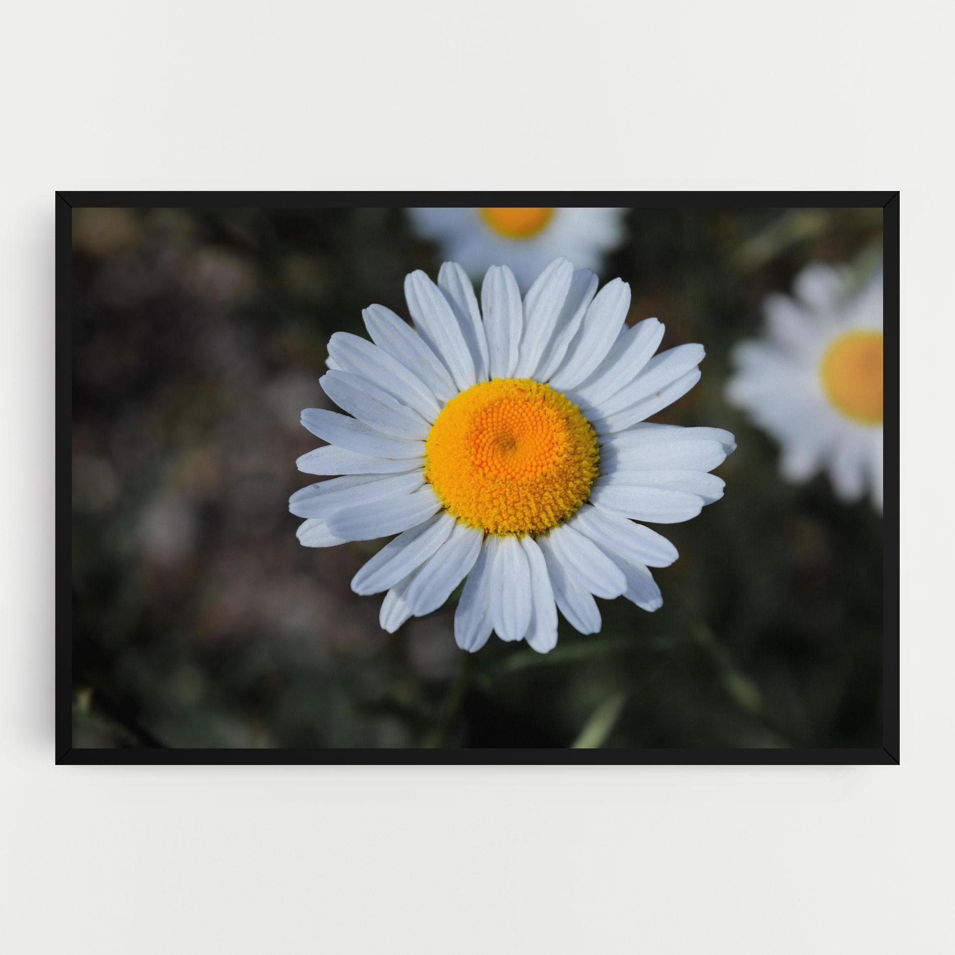 Картина на платно Strong Yellow Daisy mockup 0