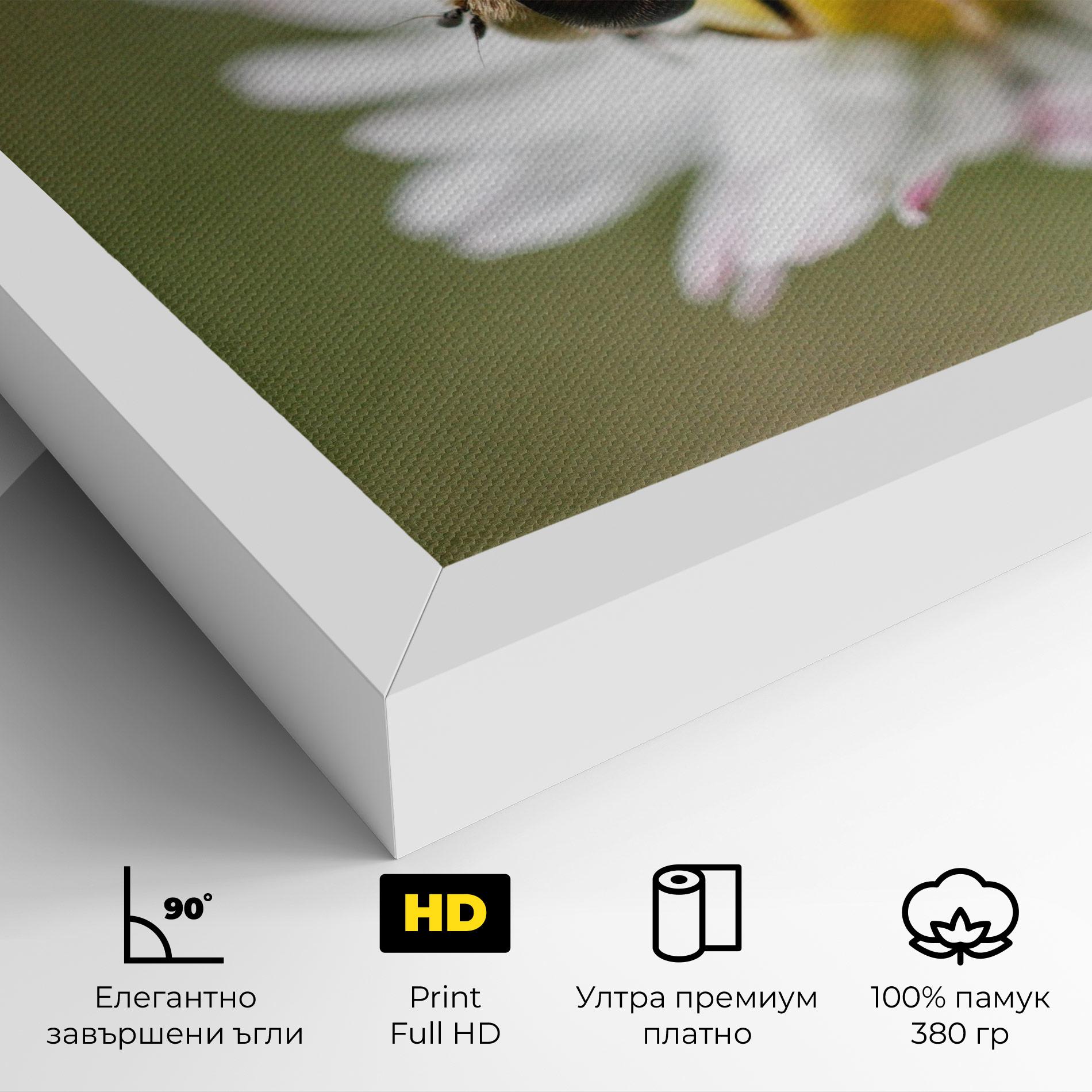 Картина на платно Bee On Small Daisy mockup 4