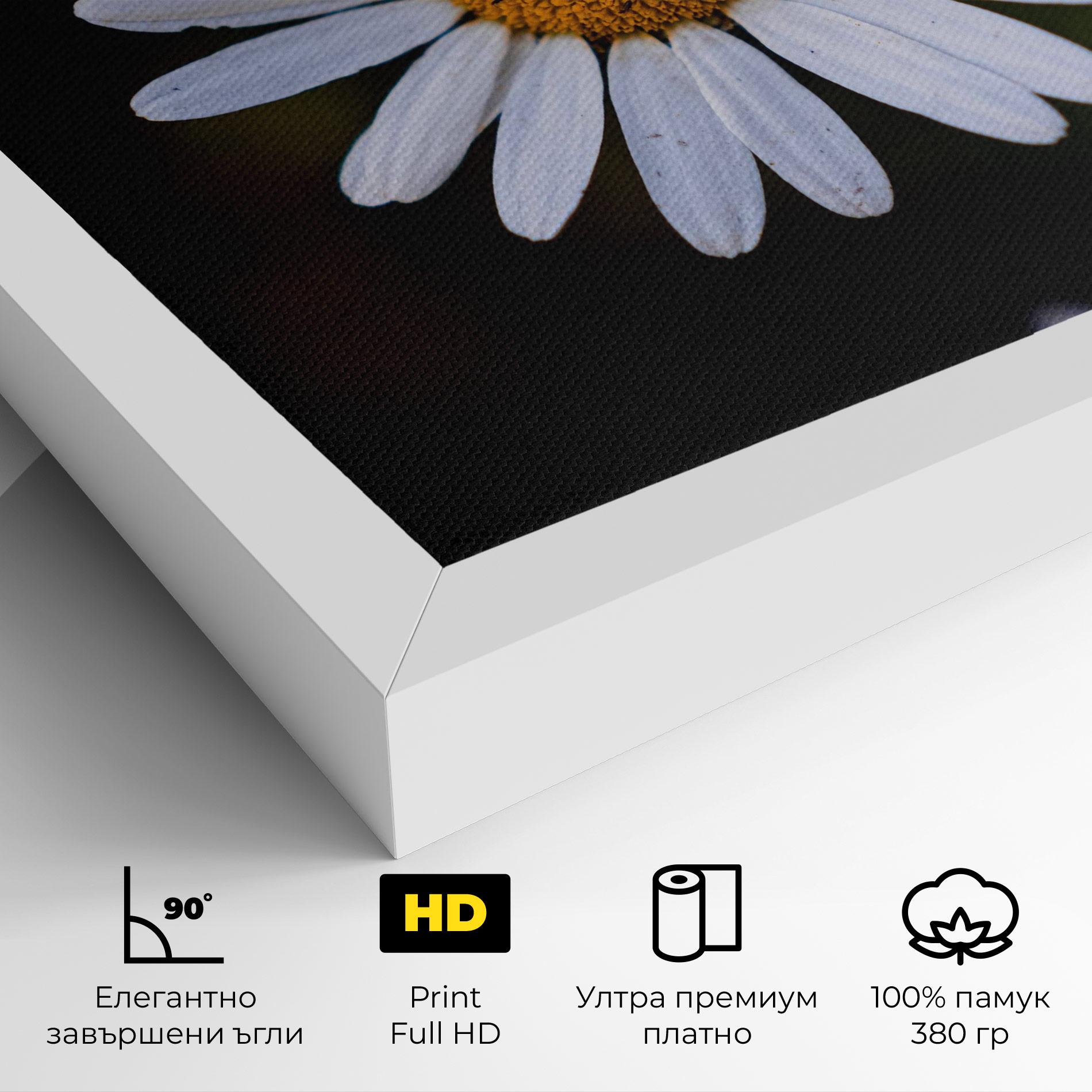 Картина на платно Big Yellow Center Daisy mockup 4