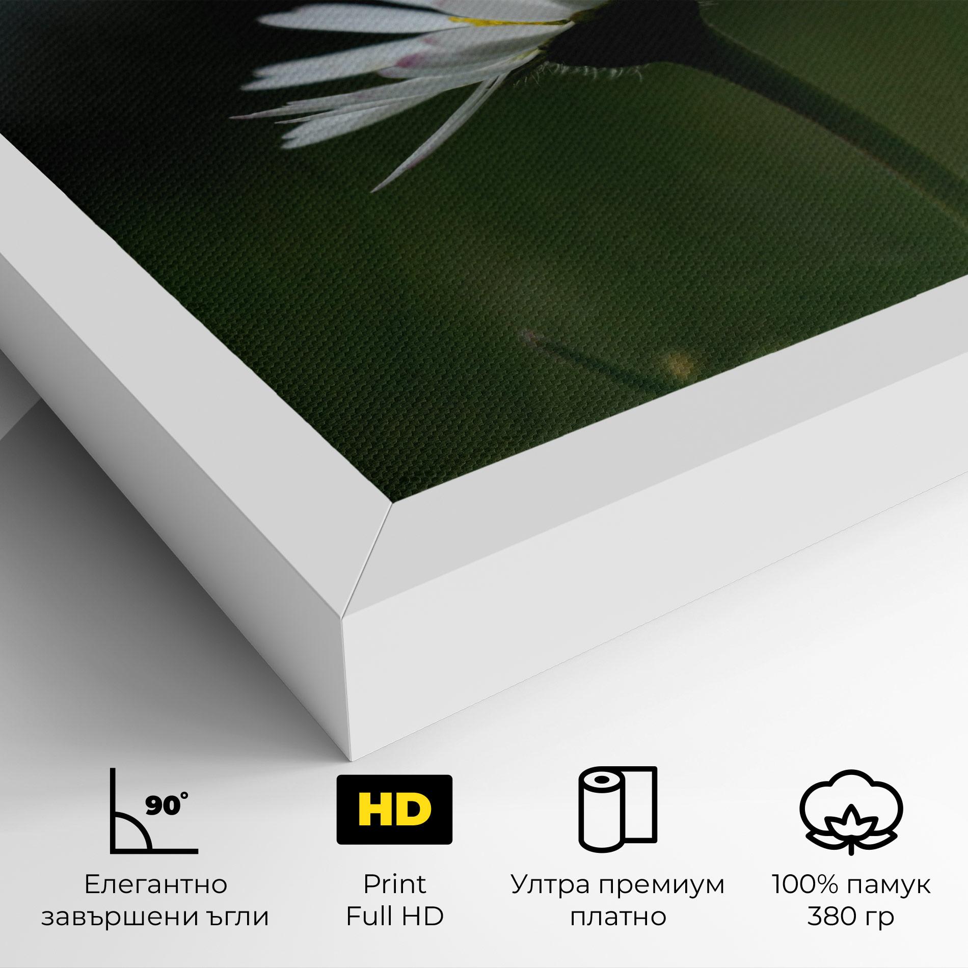 Картина на платно Garden Daisy mockup 4