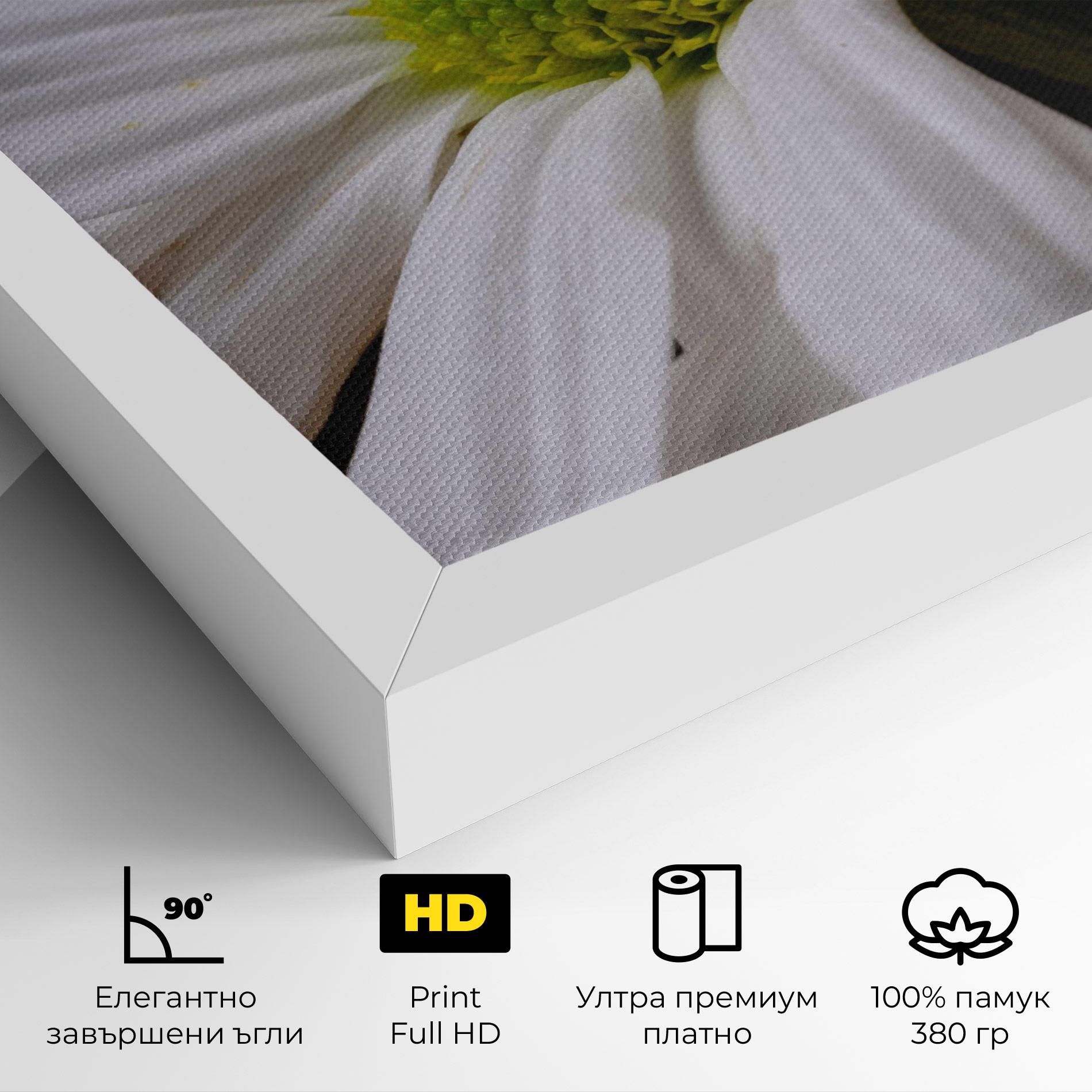 Картина на платно Green Middle Daisy mockup 4