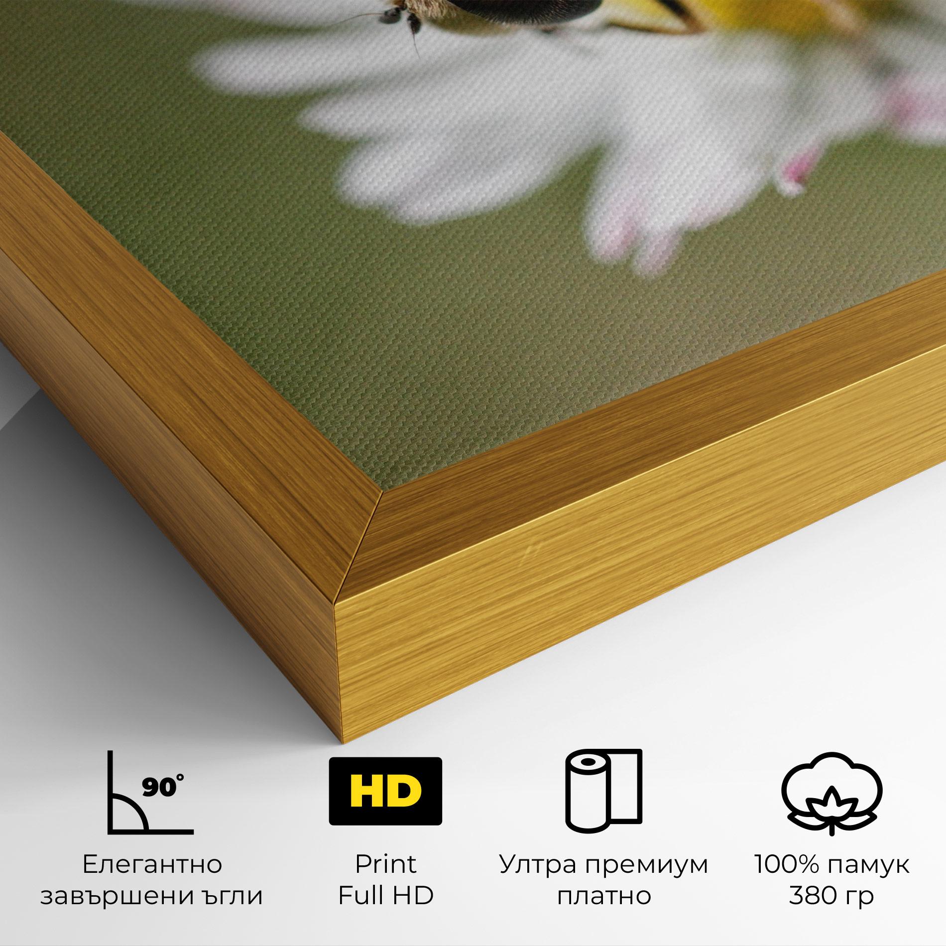 Картина на платно Bee On Small Daisy mockup 4