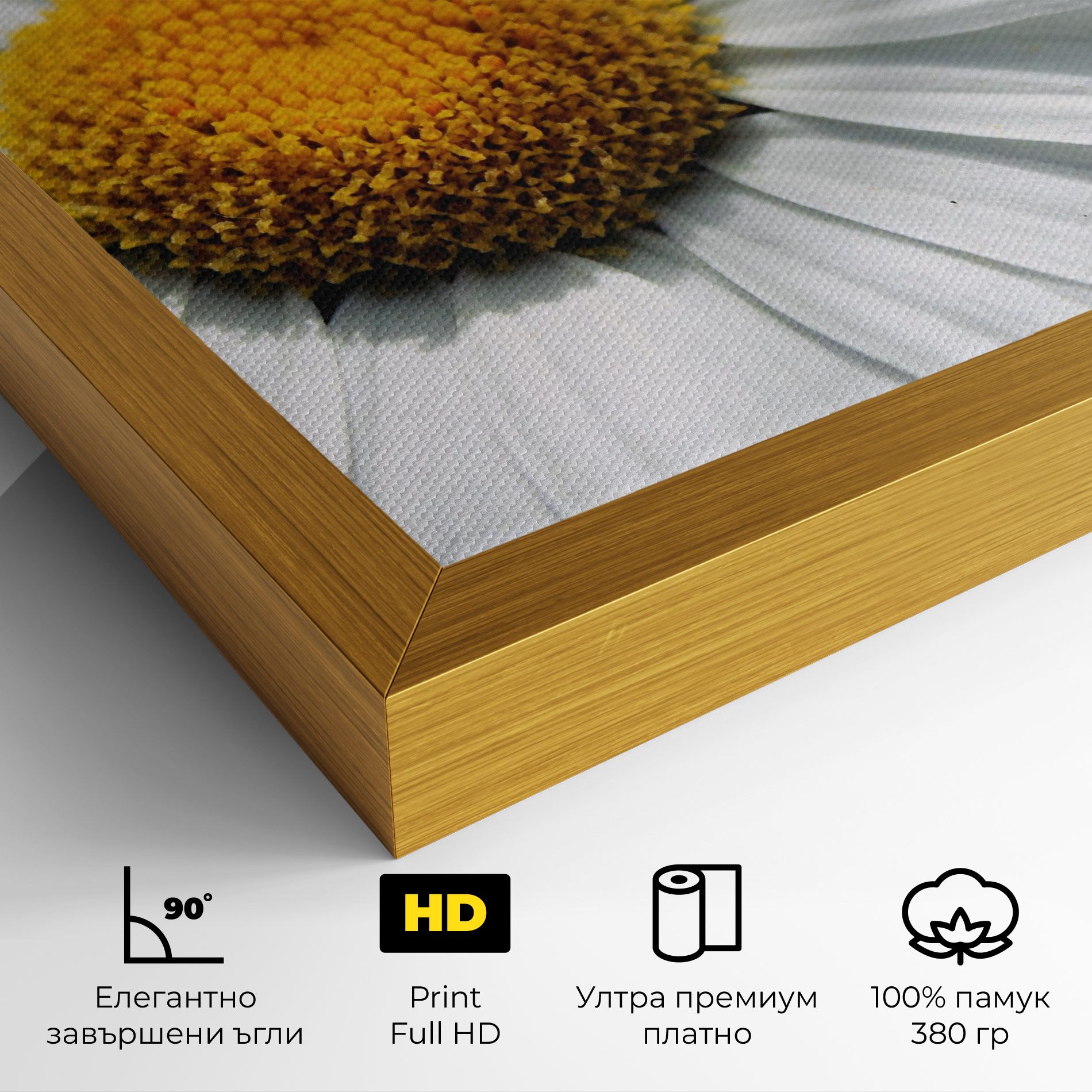 Big Daisies mockup 4