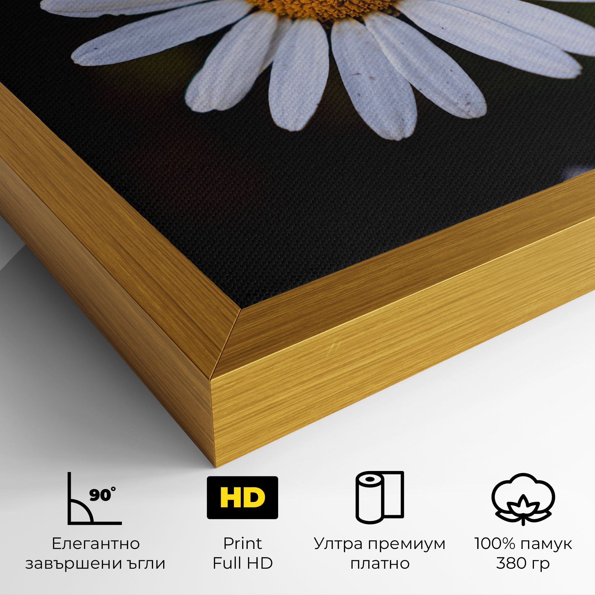 Big Yellow Center Daisy mockup 4