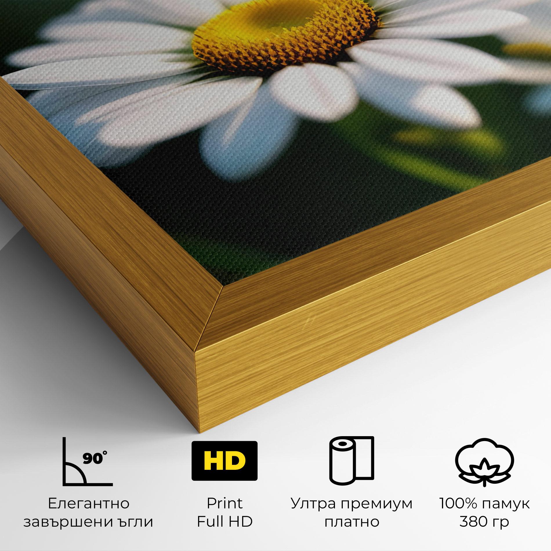 Картина на платно Daisy In The Sun mockup 4