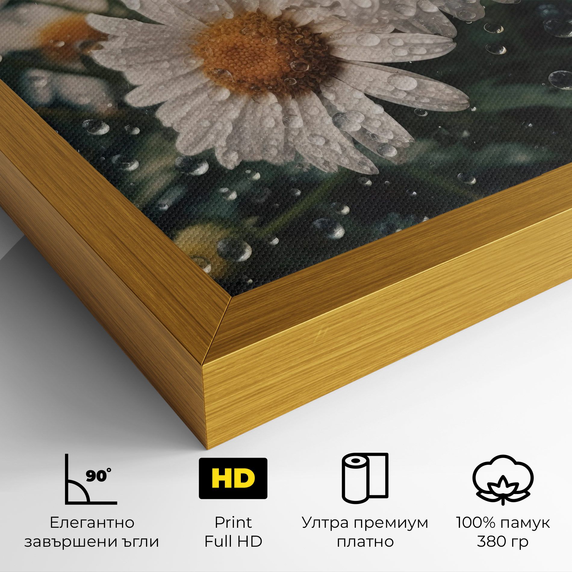 Daisy View After Rain mockup 4