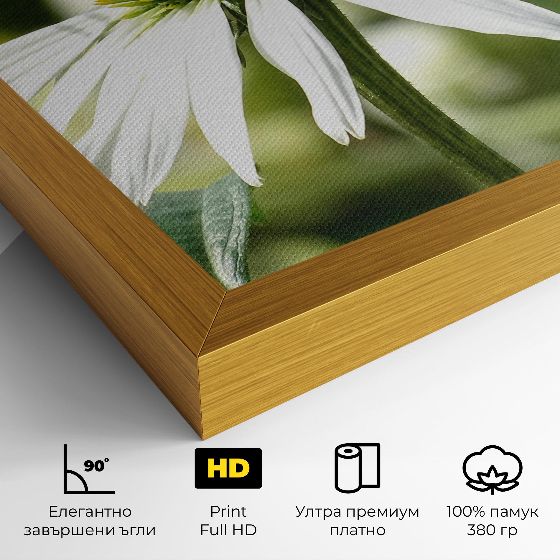 Картина на платно Green Daisy mockup 4