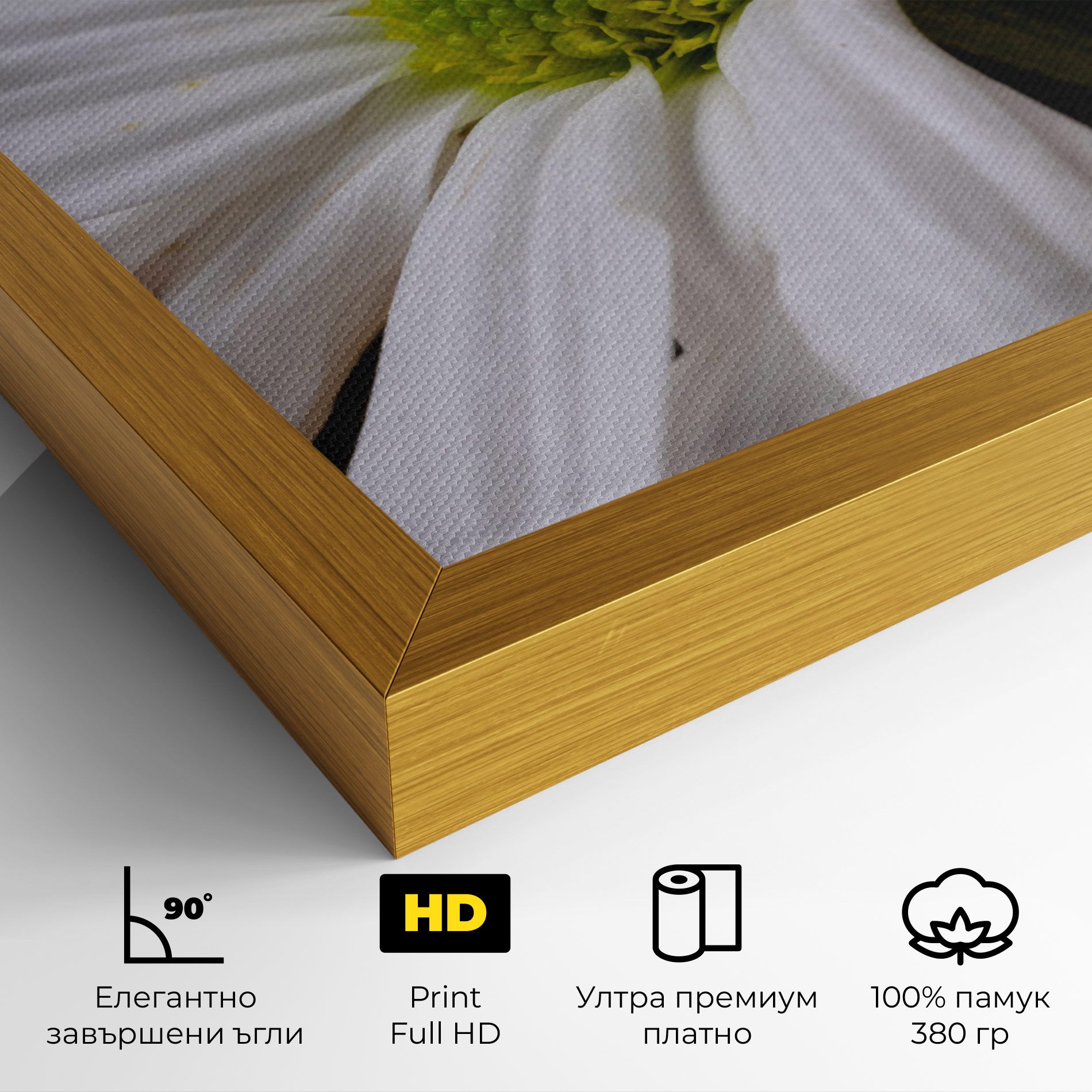 Green Middle Daisy mockup 4