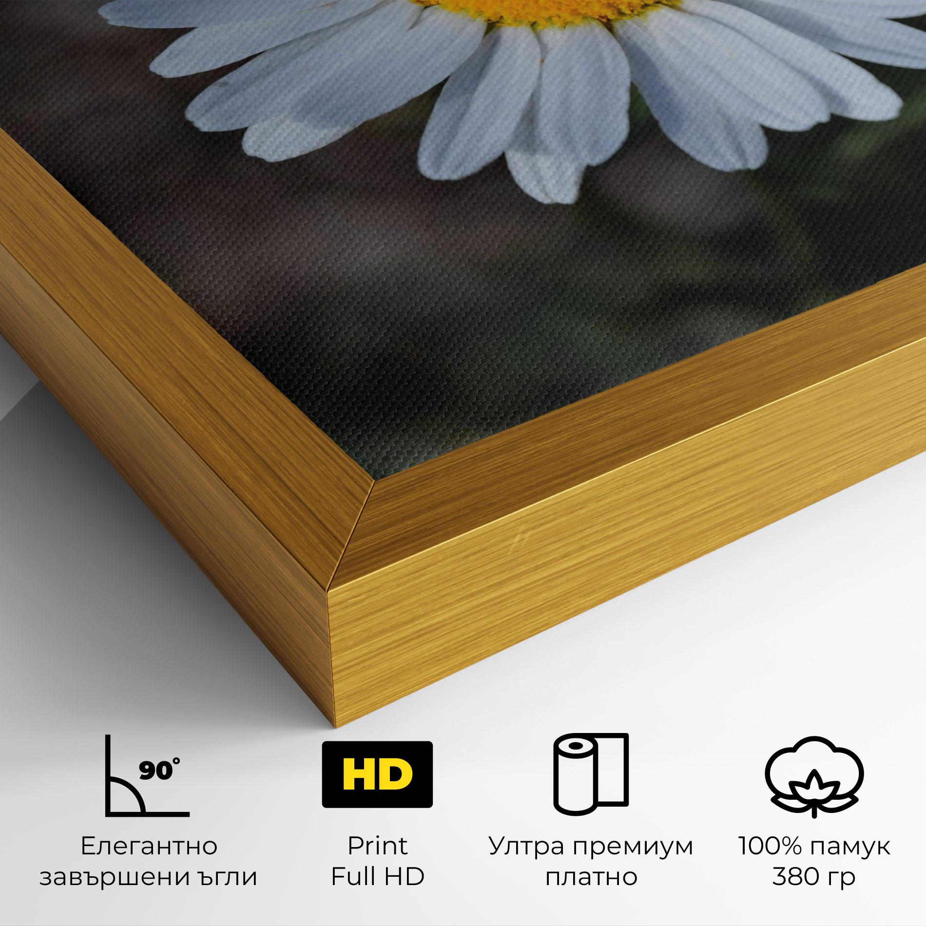 Картина на платно Strong Yellow Daisy mockup 4