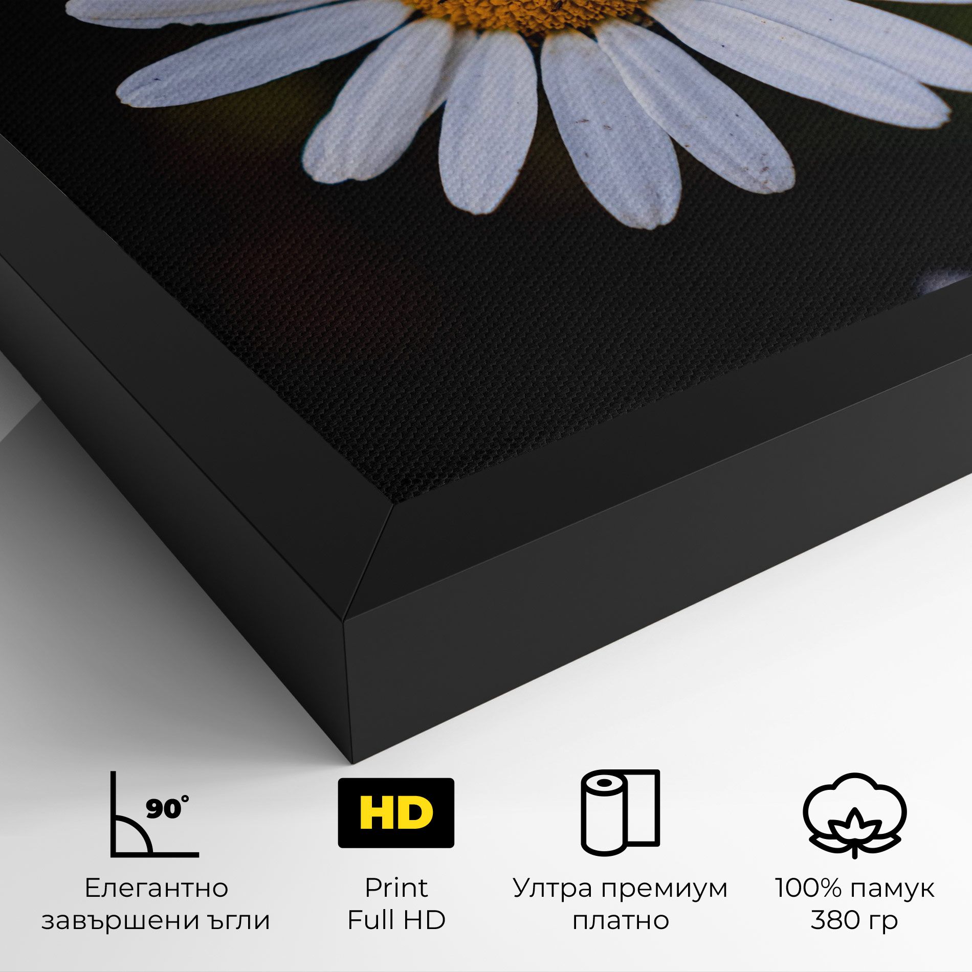Big Yellow Center Daisy mockup 4
