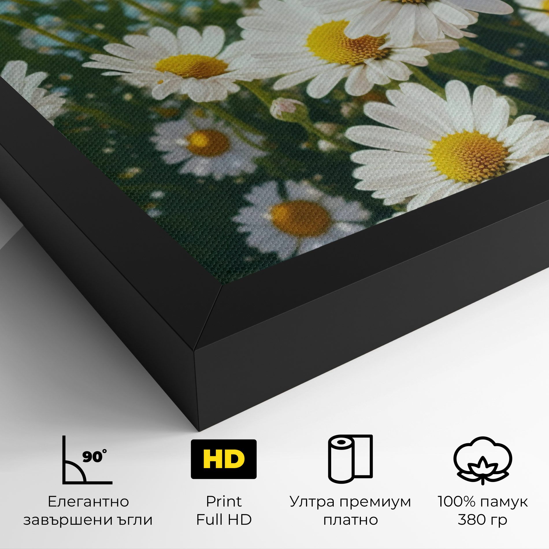 Daisy Field View mockup 4