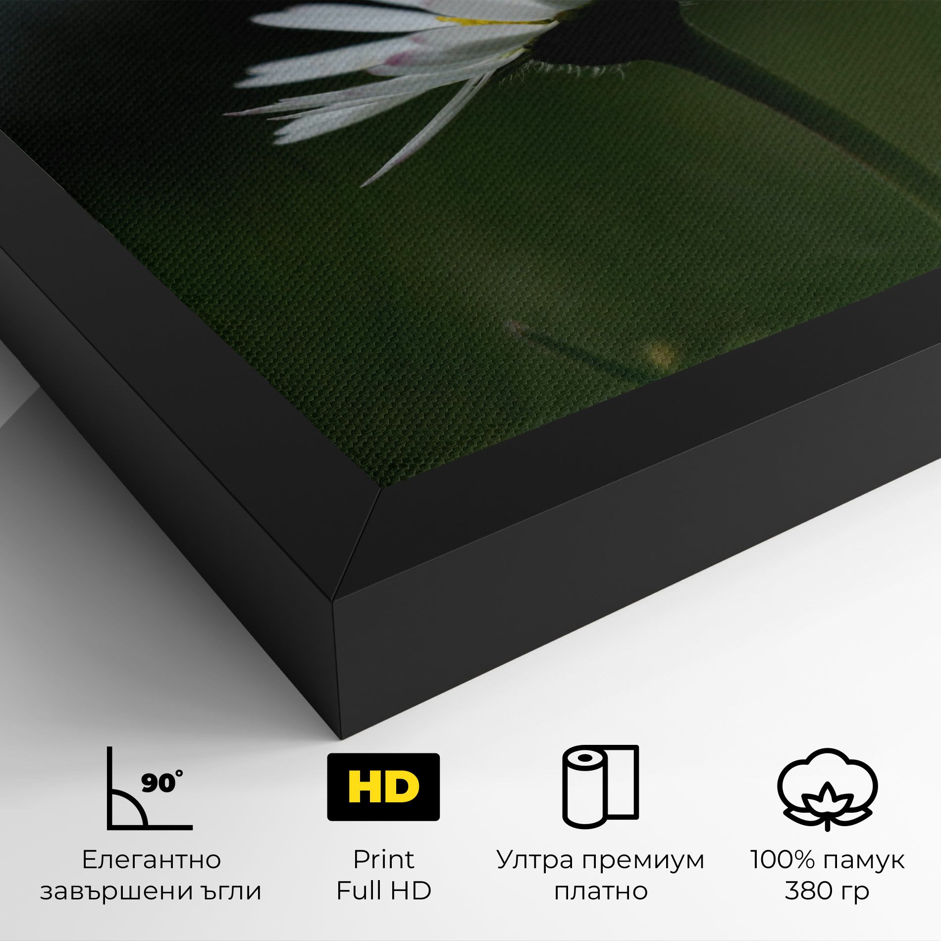 Garden Daisy mockup 4