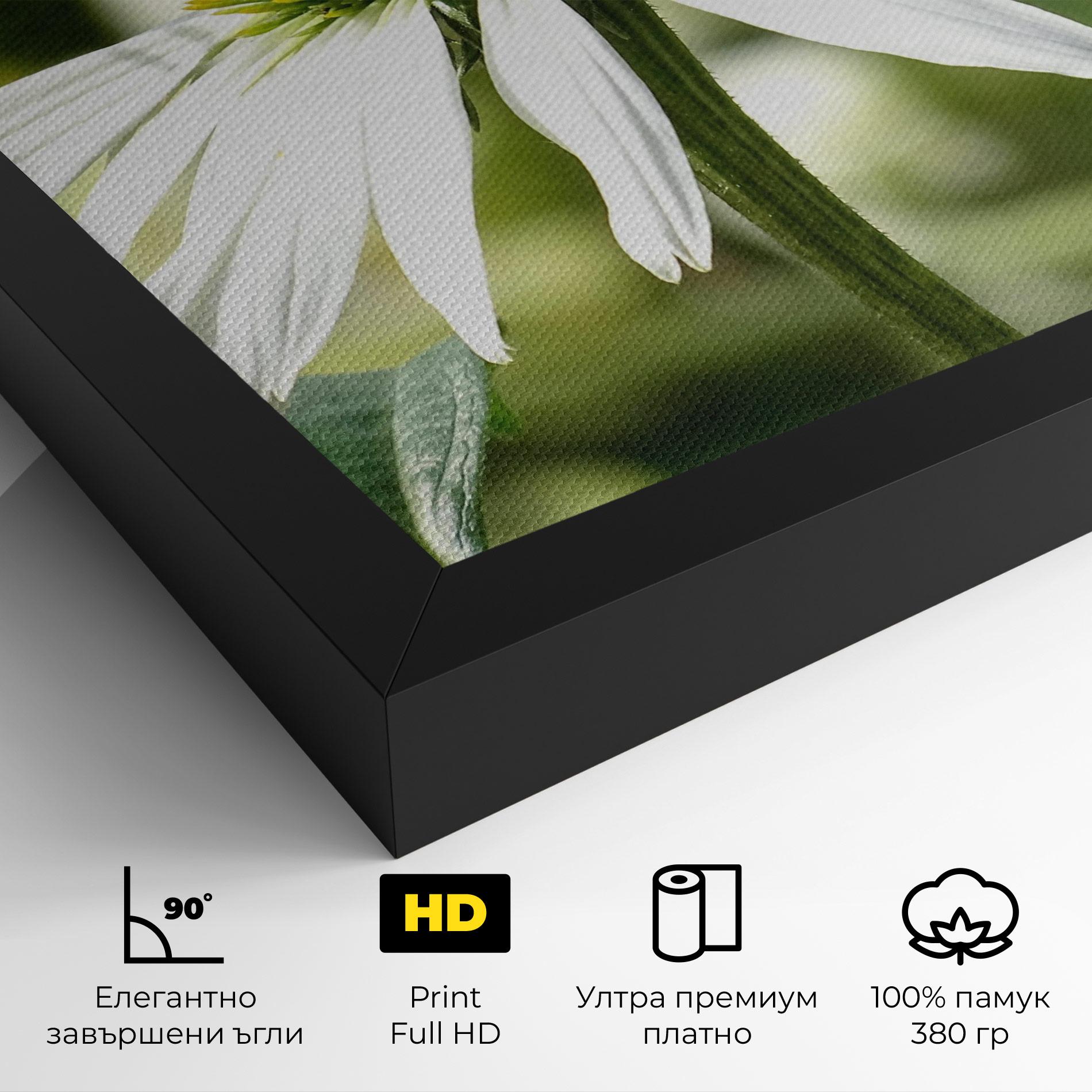 Картина на платно Green Daisy mockup 4