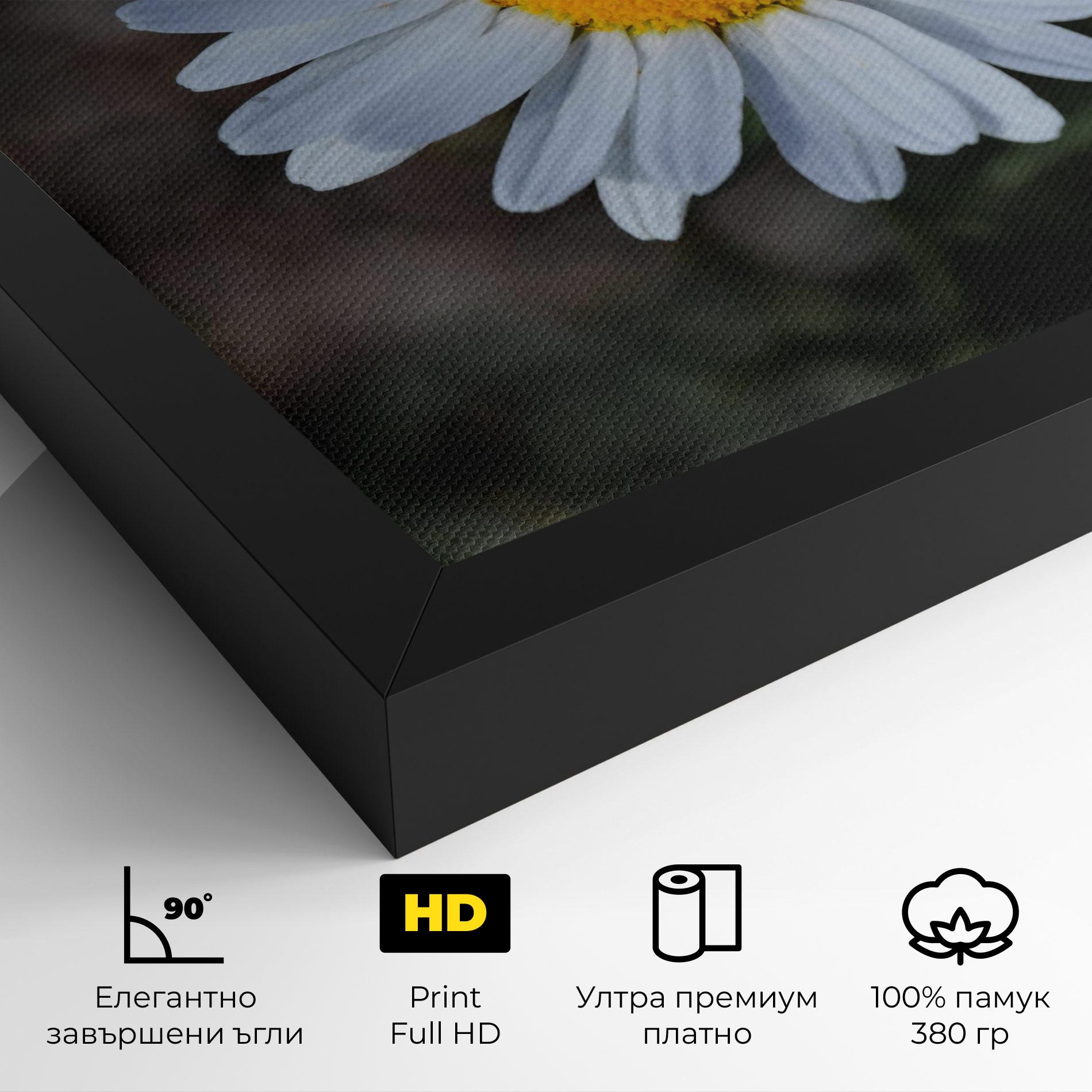 Картина на платно Strong Yellow Daisy mockup 4