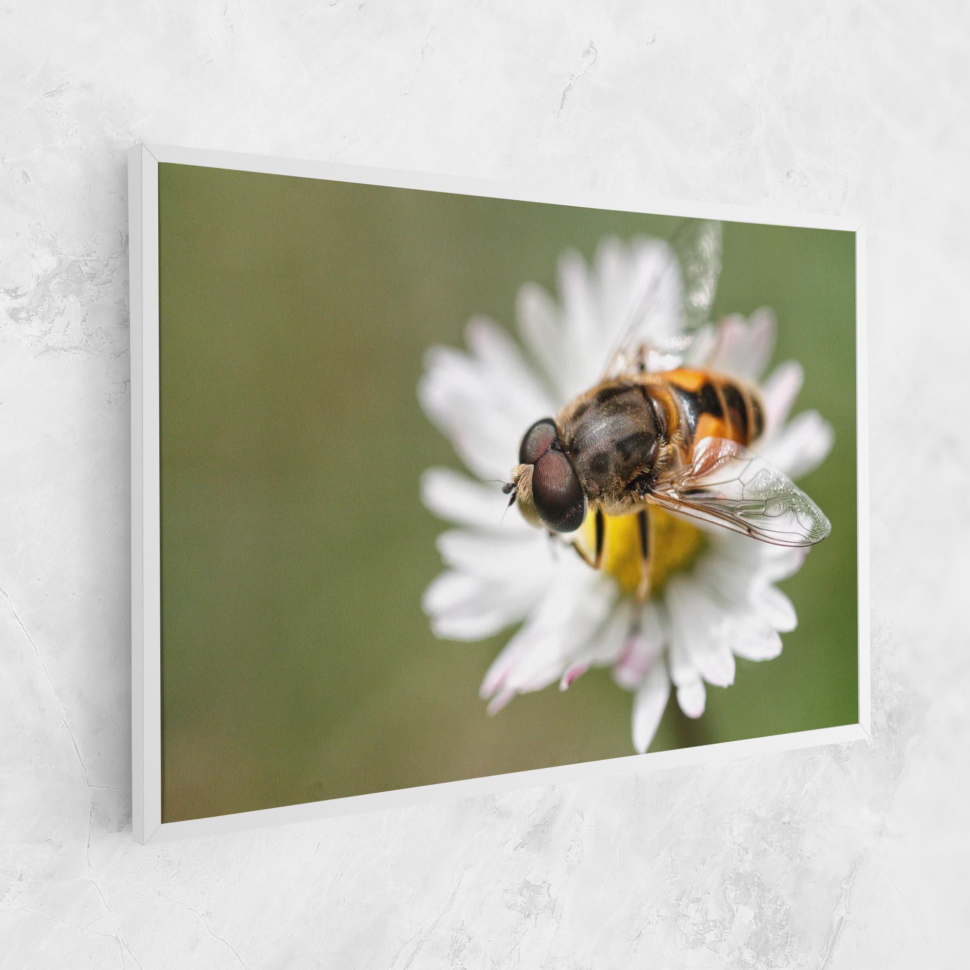 Картина на платно Bee On Small Daisy mockup 1