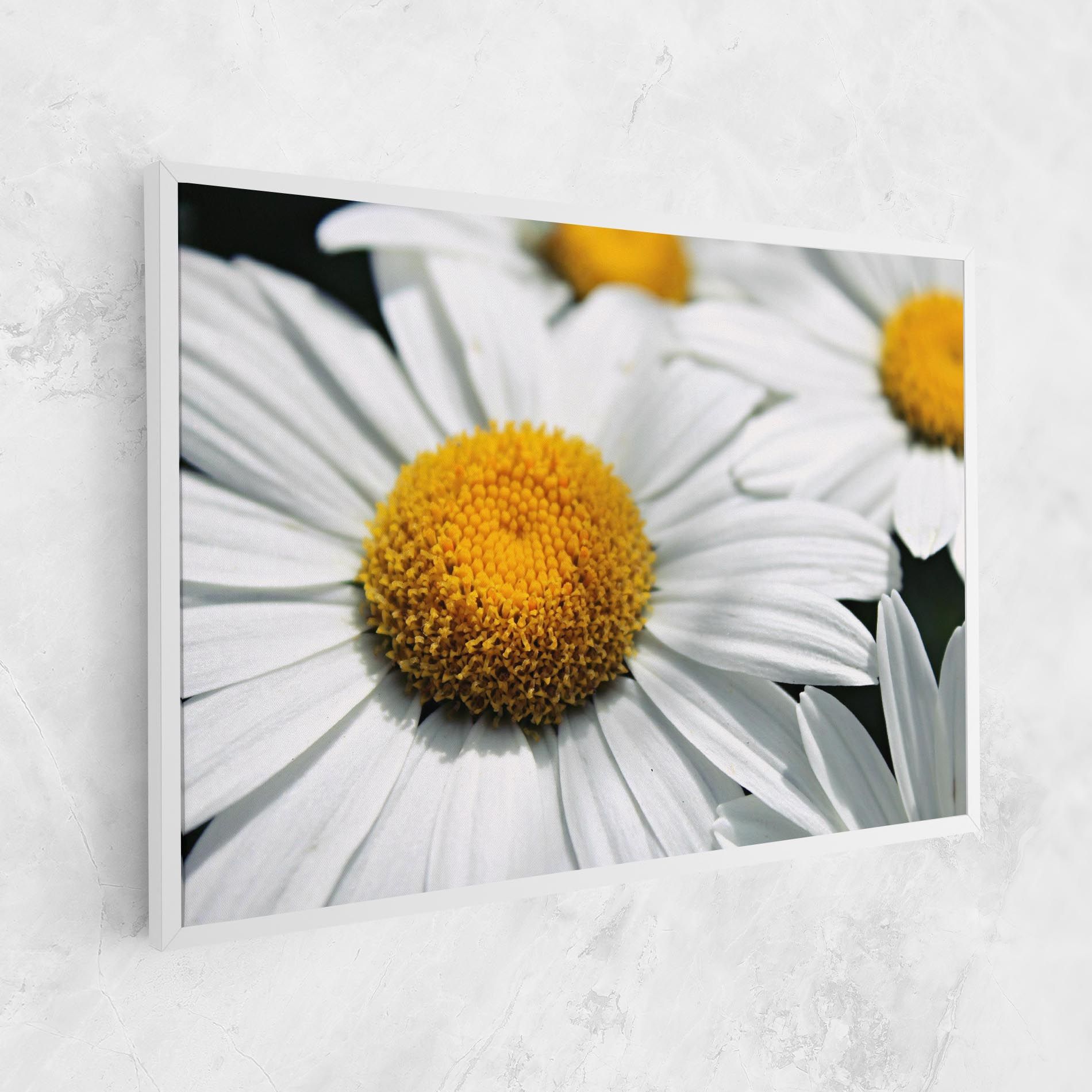 Big Daisies mockup 1