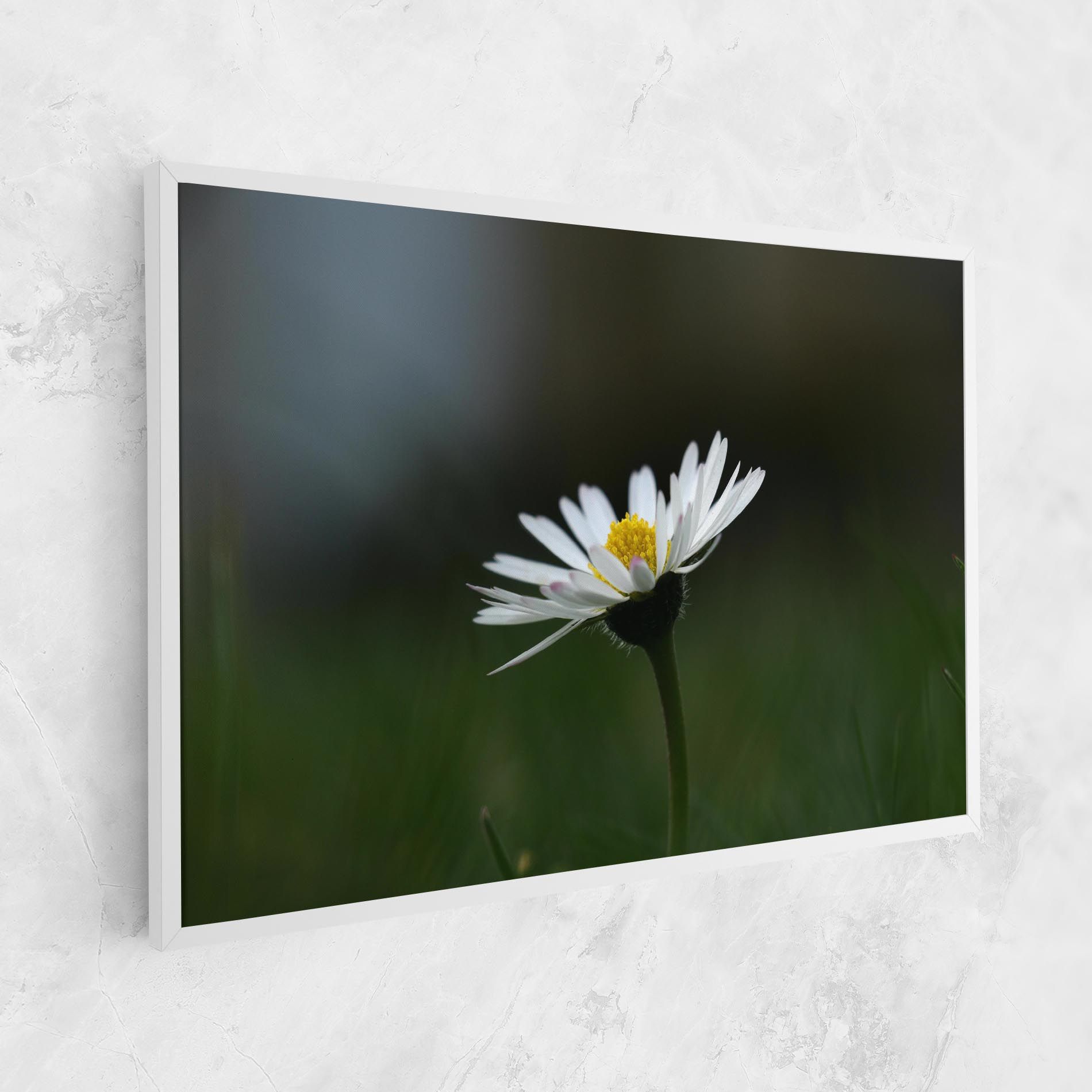 Garden Daisy mockup 1