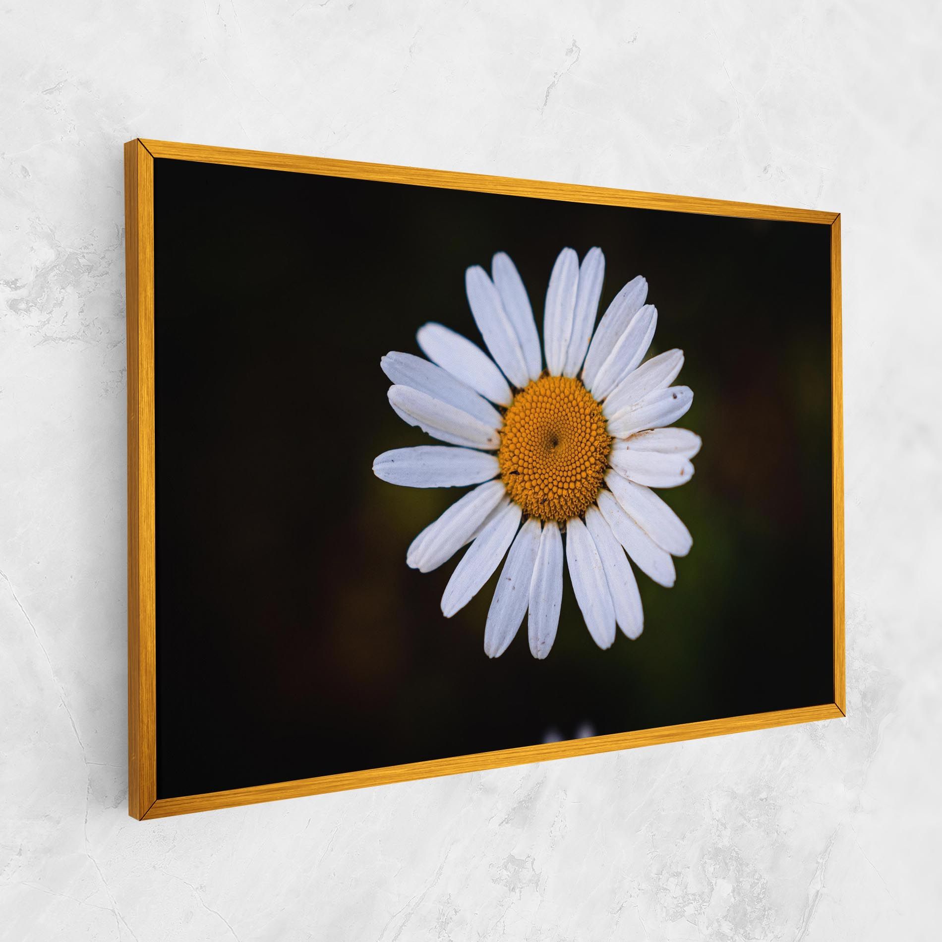 Big Yellow Center Daisy mockup 1