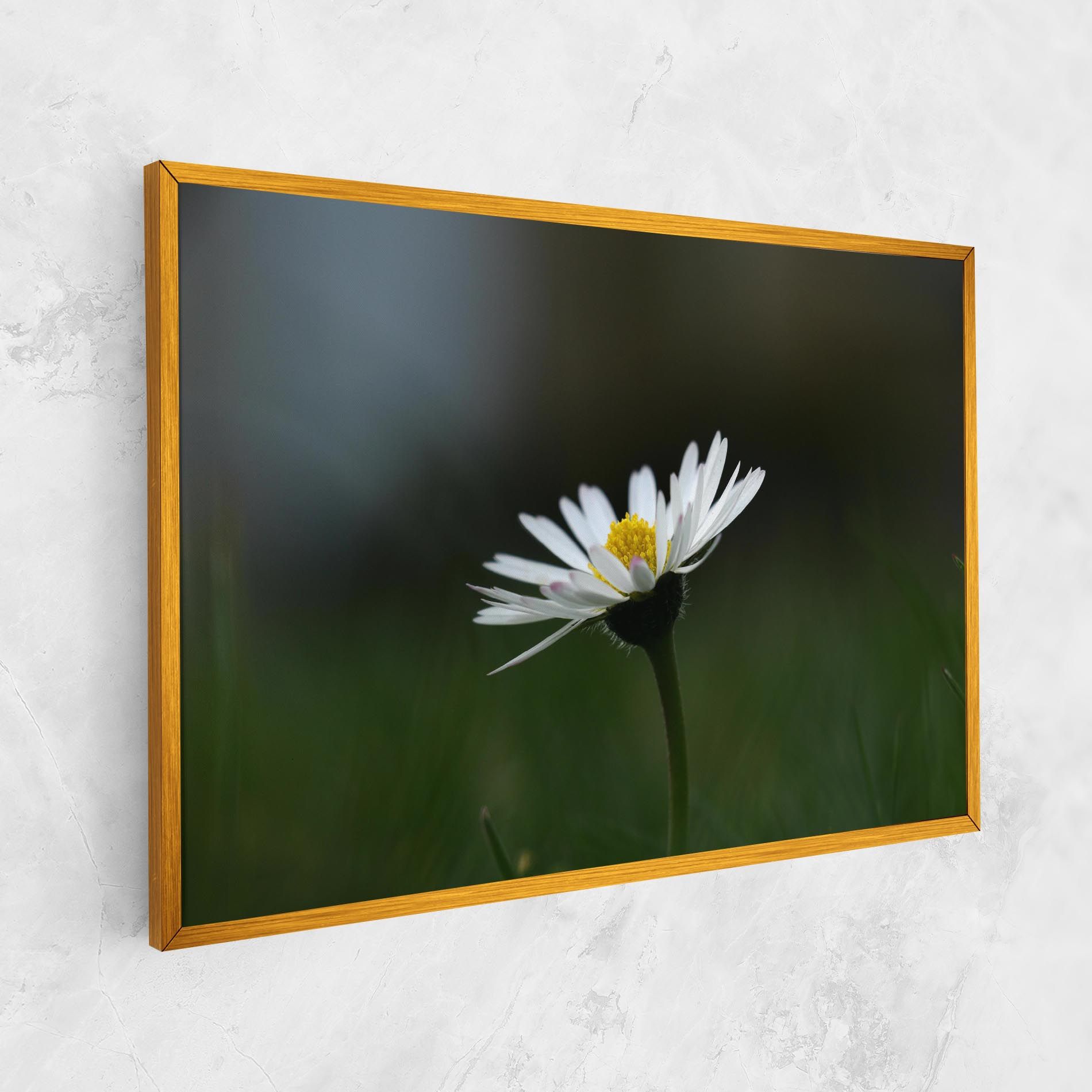 Garden Daisy mockup 1