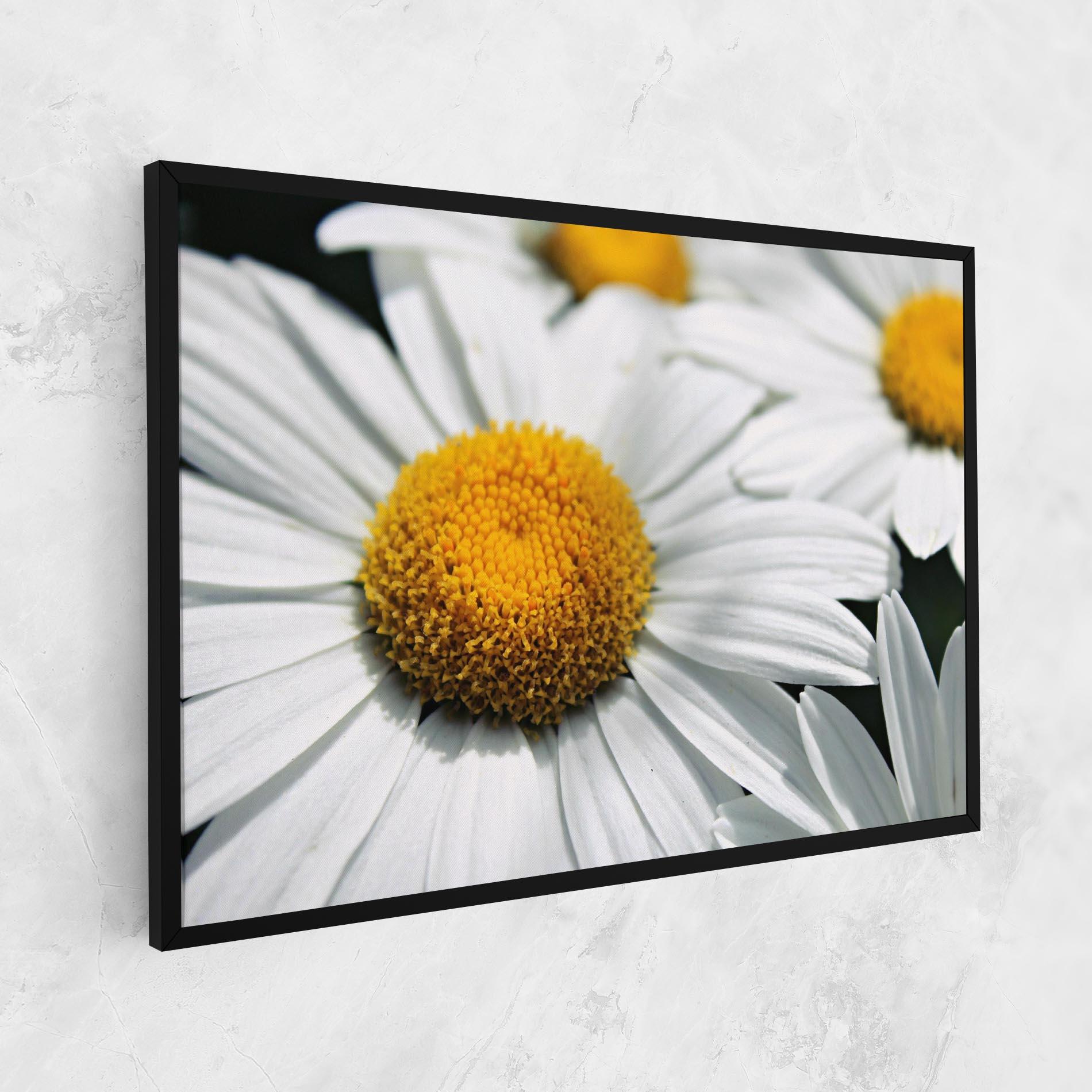 Картина на платно Big Daisies mockup 1