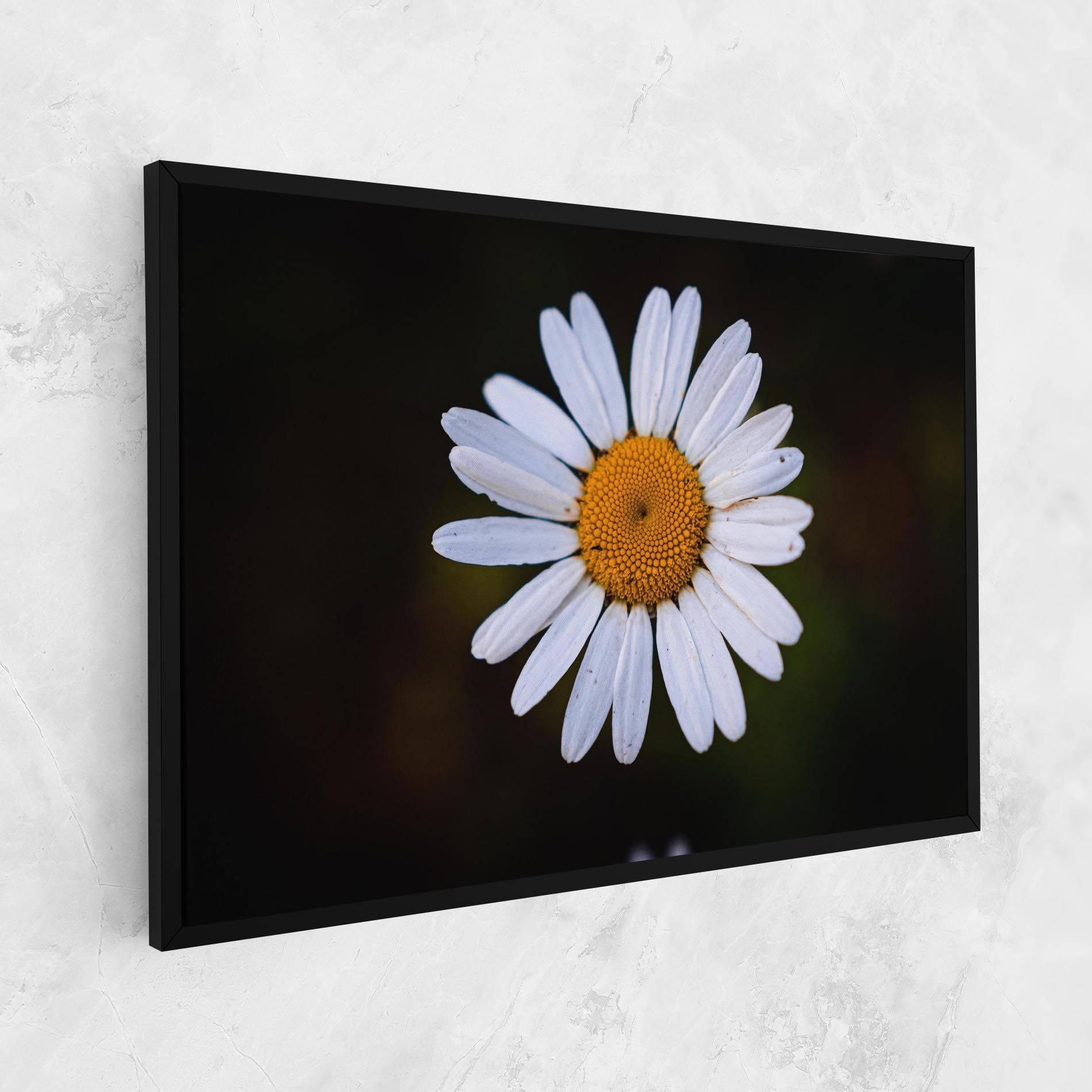 Big Yellow Center Daisy mockup 1