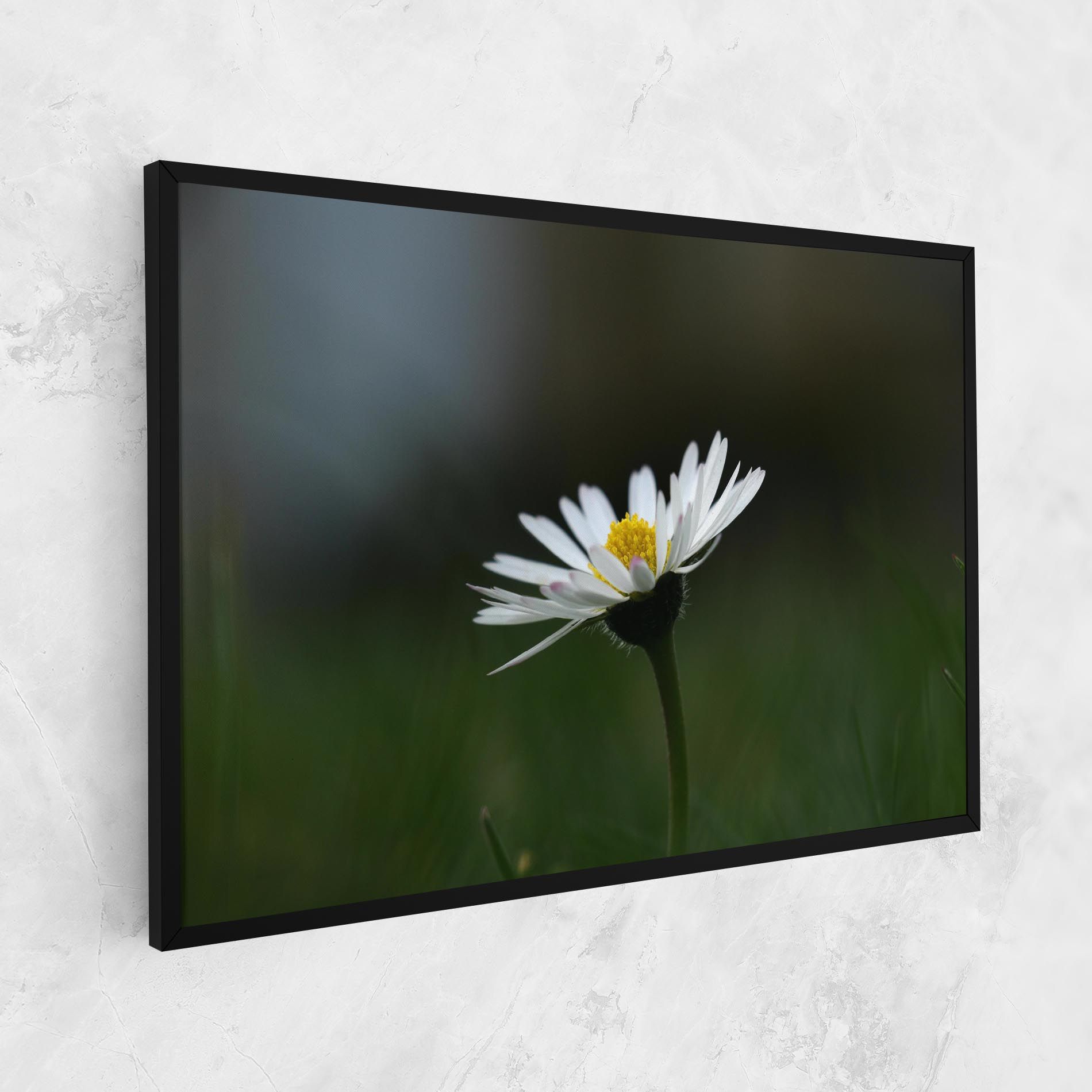 Garden Daisy mockup 1