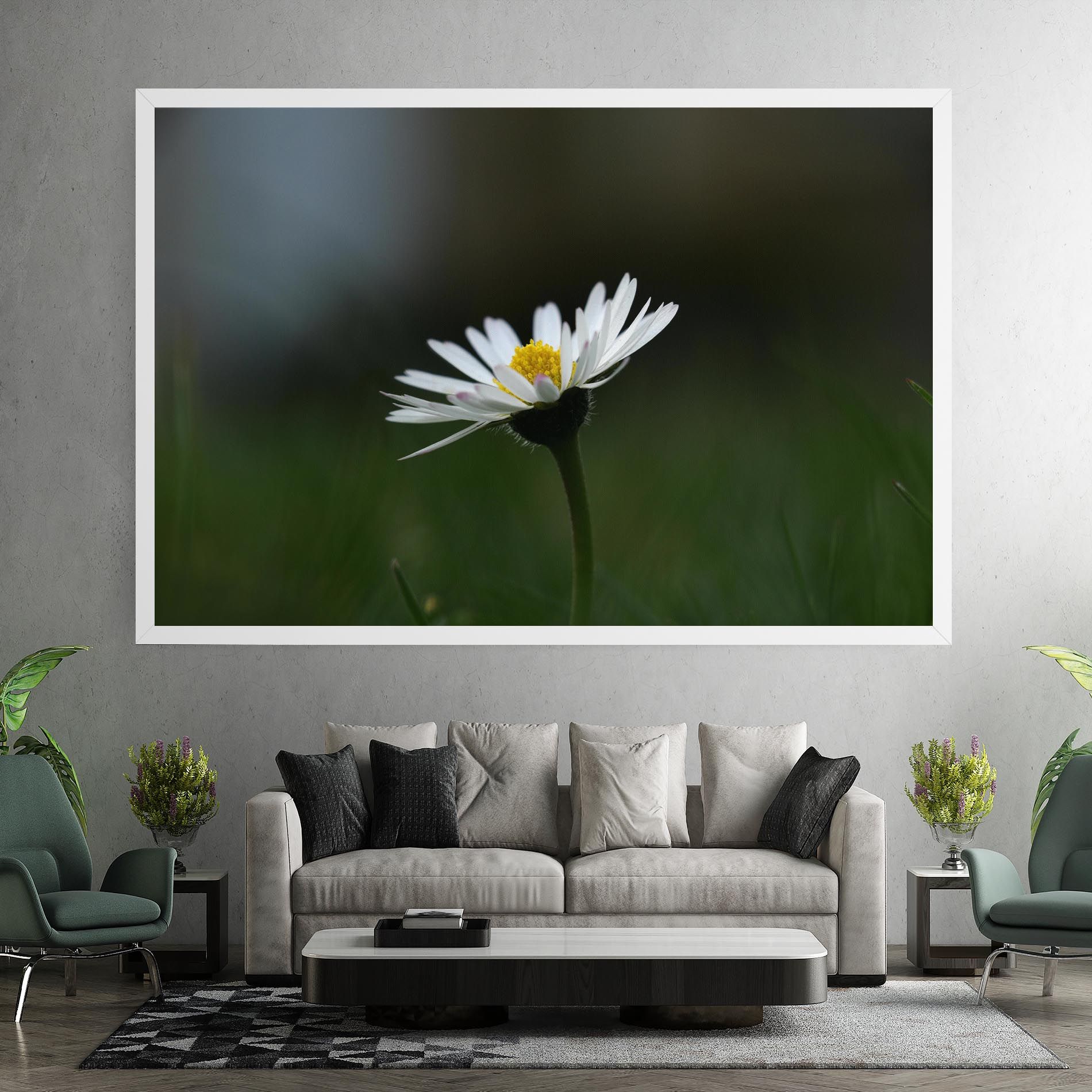 Garden Daisy mockup 7