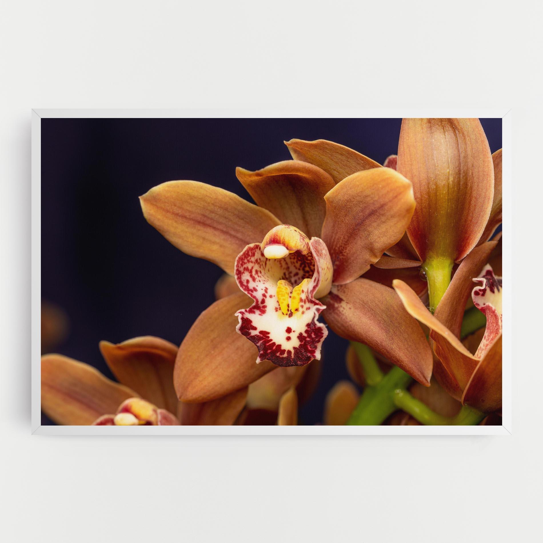 Картина на платно Dirty Orange Orchid mockup 0