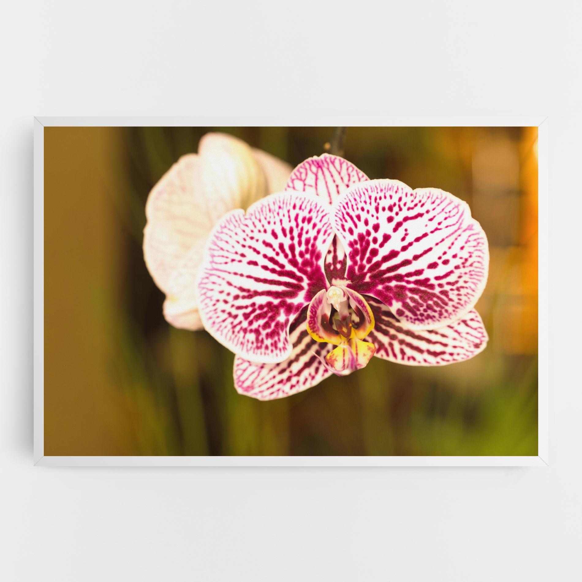 Картина на платно Garden Orchids mockup 0