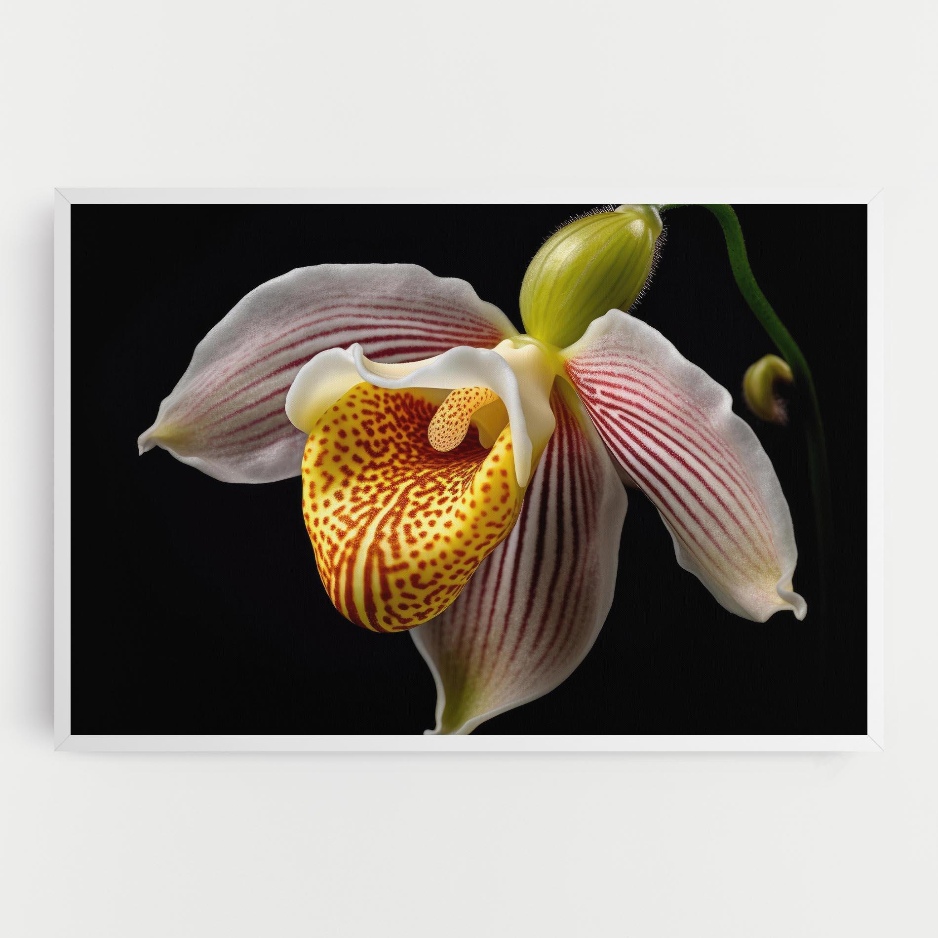 Картина на платно Orchid On Black mockup 0
