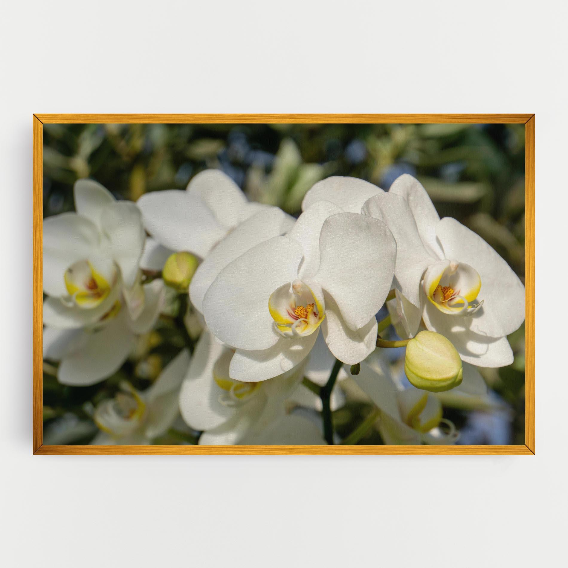 Картина на платно Big Orchids In Nature mockup 0