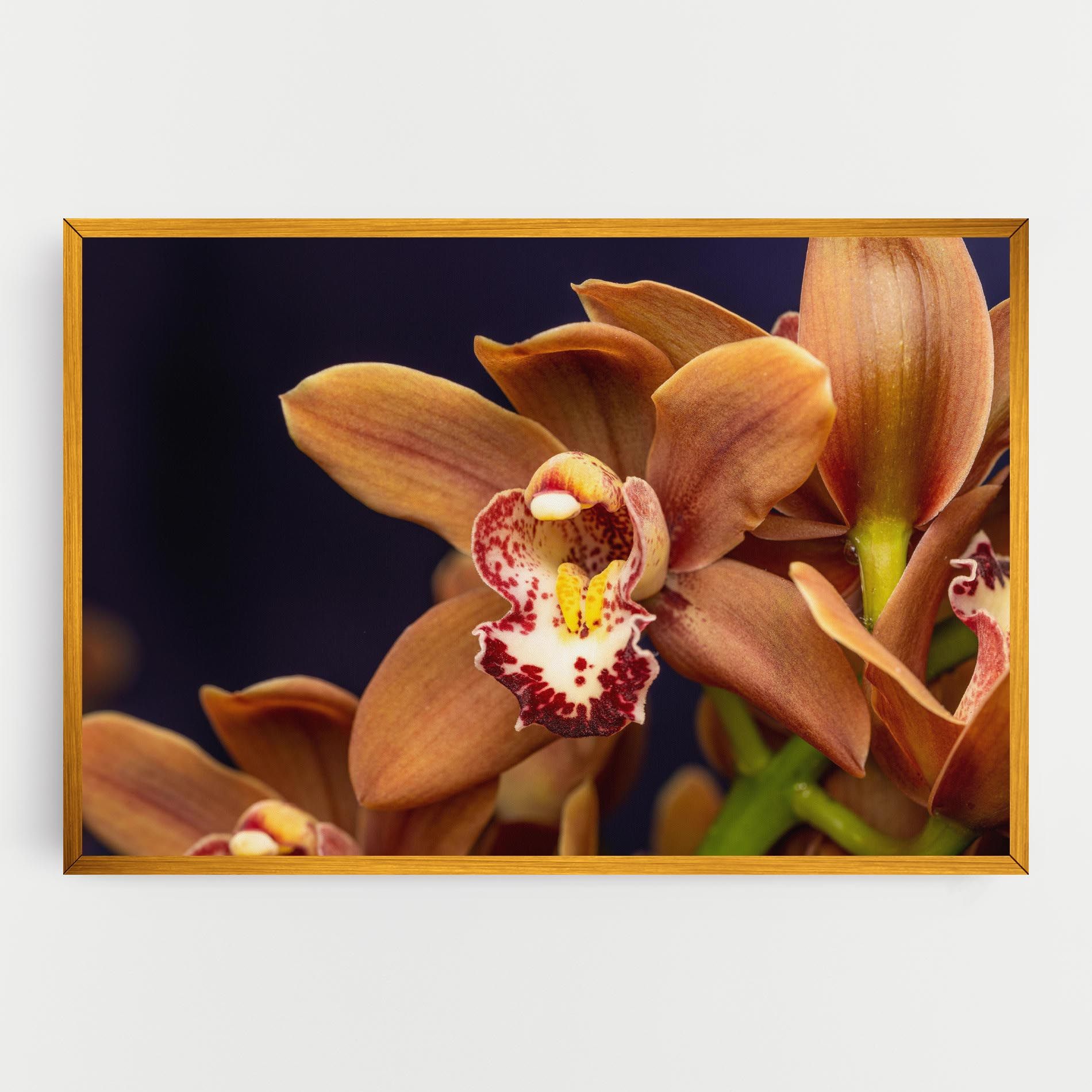 Dirty Orange Orchid mockup 0