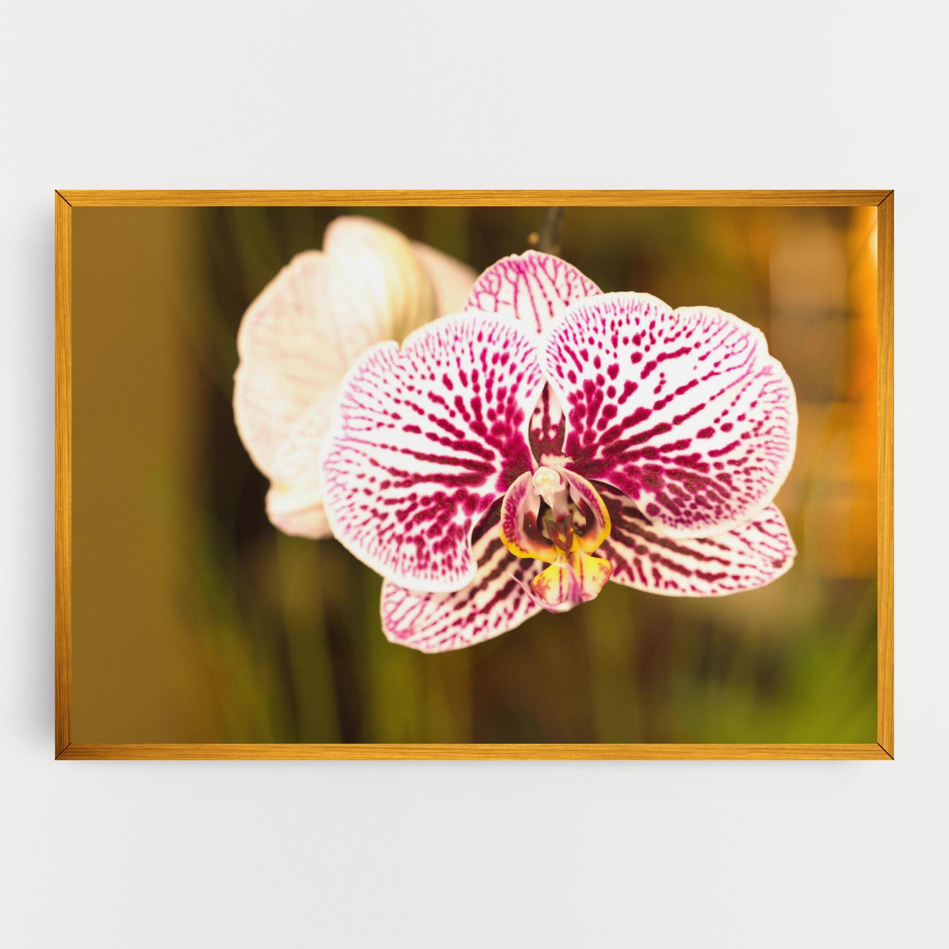 Картина на платно Garden Orchids mockup 0