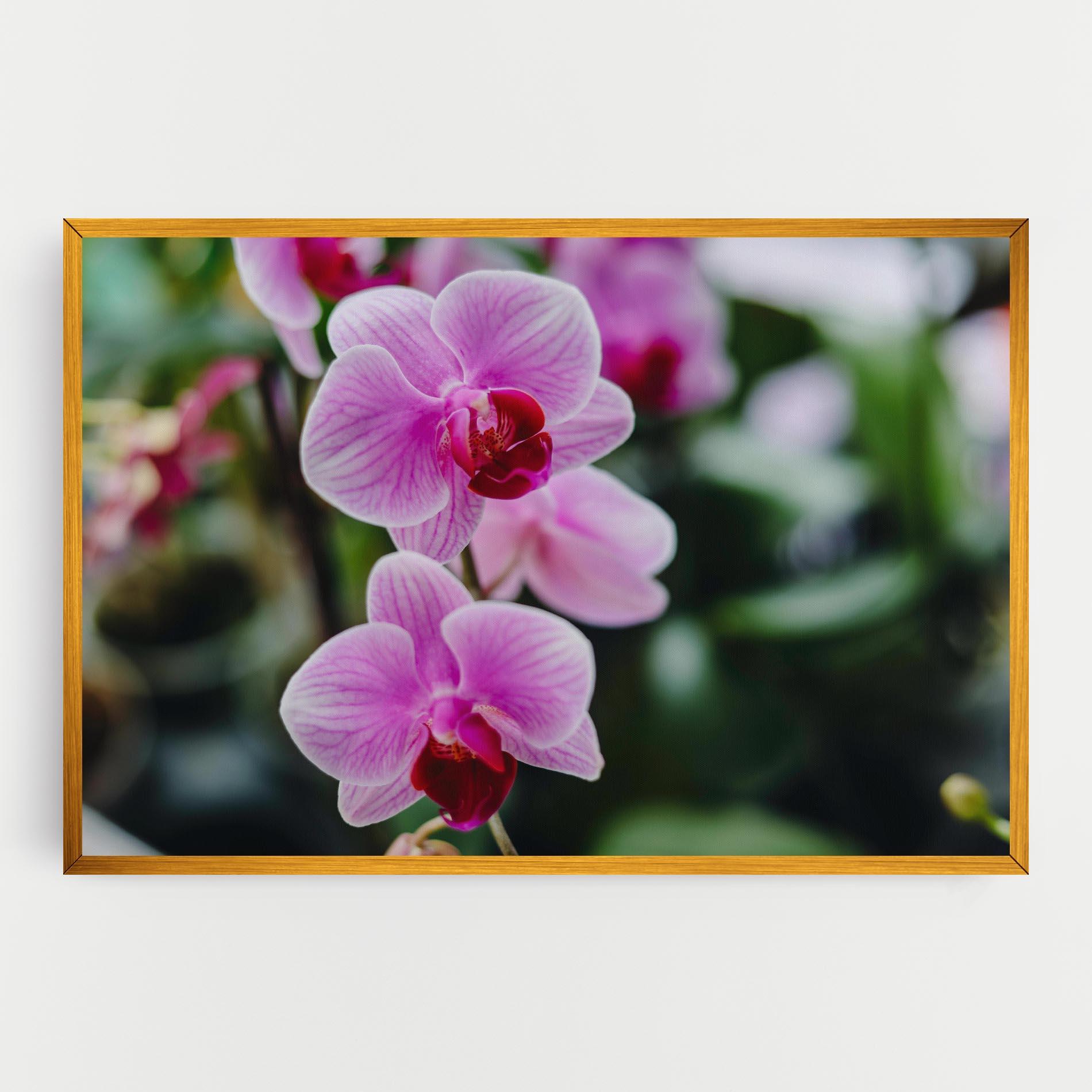 Картина на платно Garden Purple Orchids mockup 0
