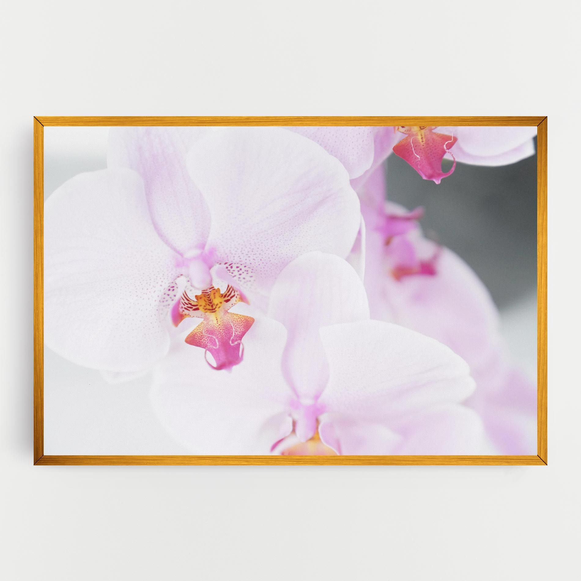 Light Purple Orchid mockup 0