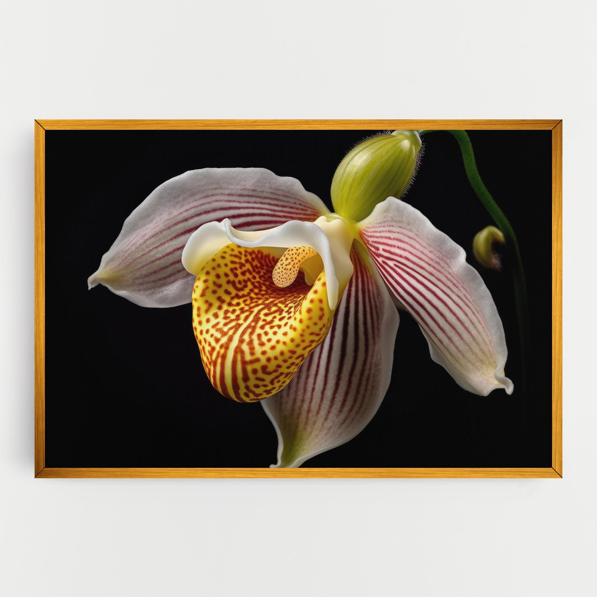 Orchid On Black mockup 0