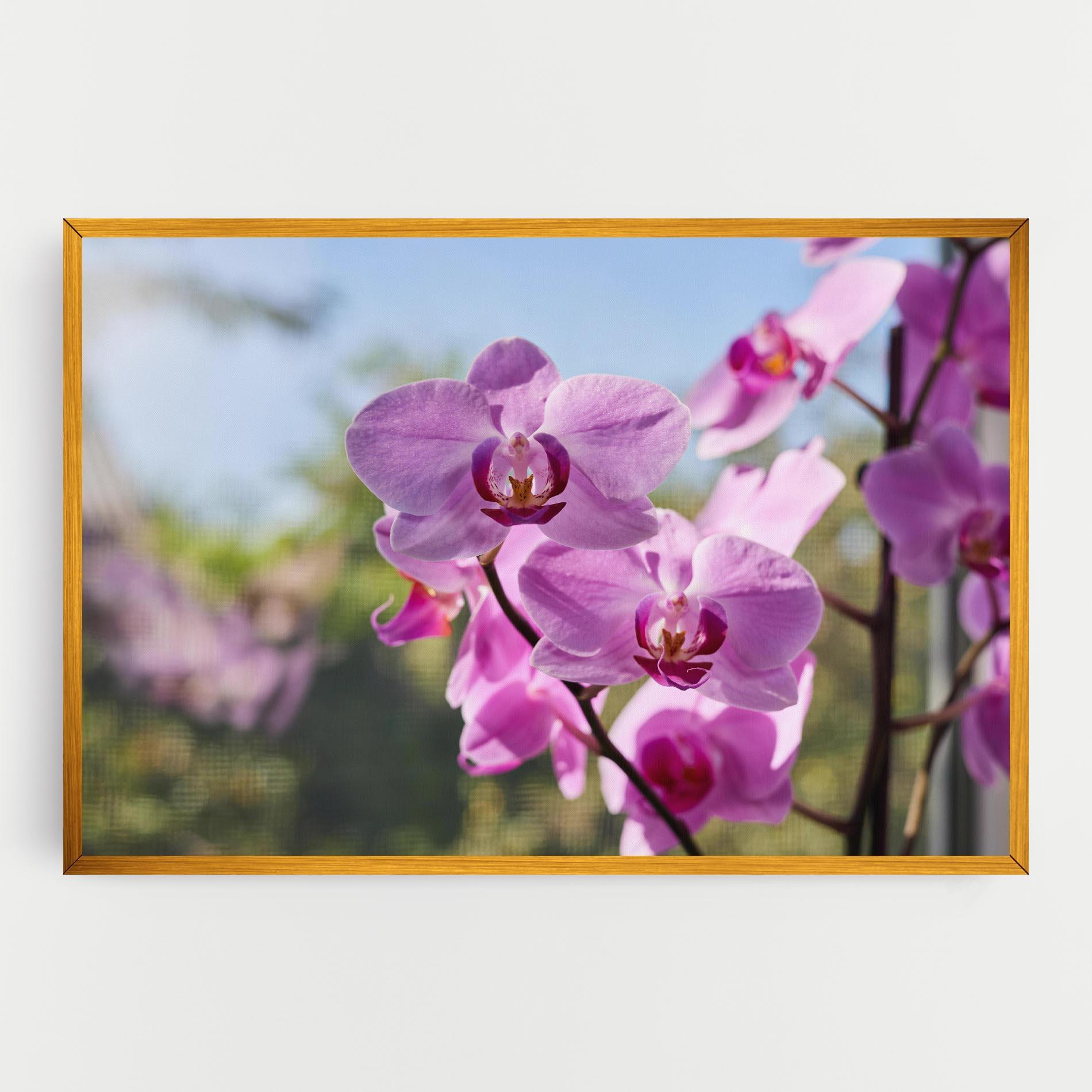 Картина на платно Orchids In The Garden mockup 0