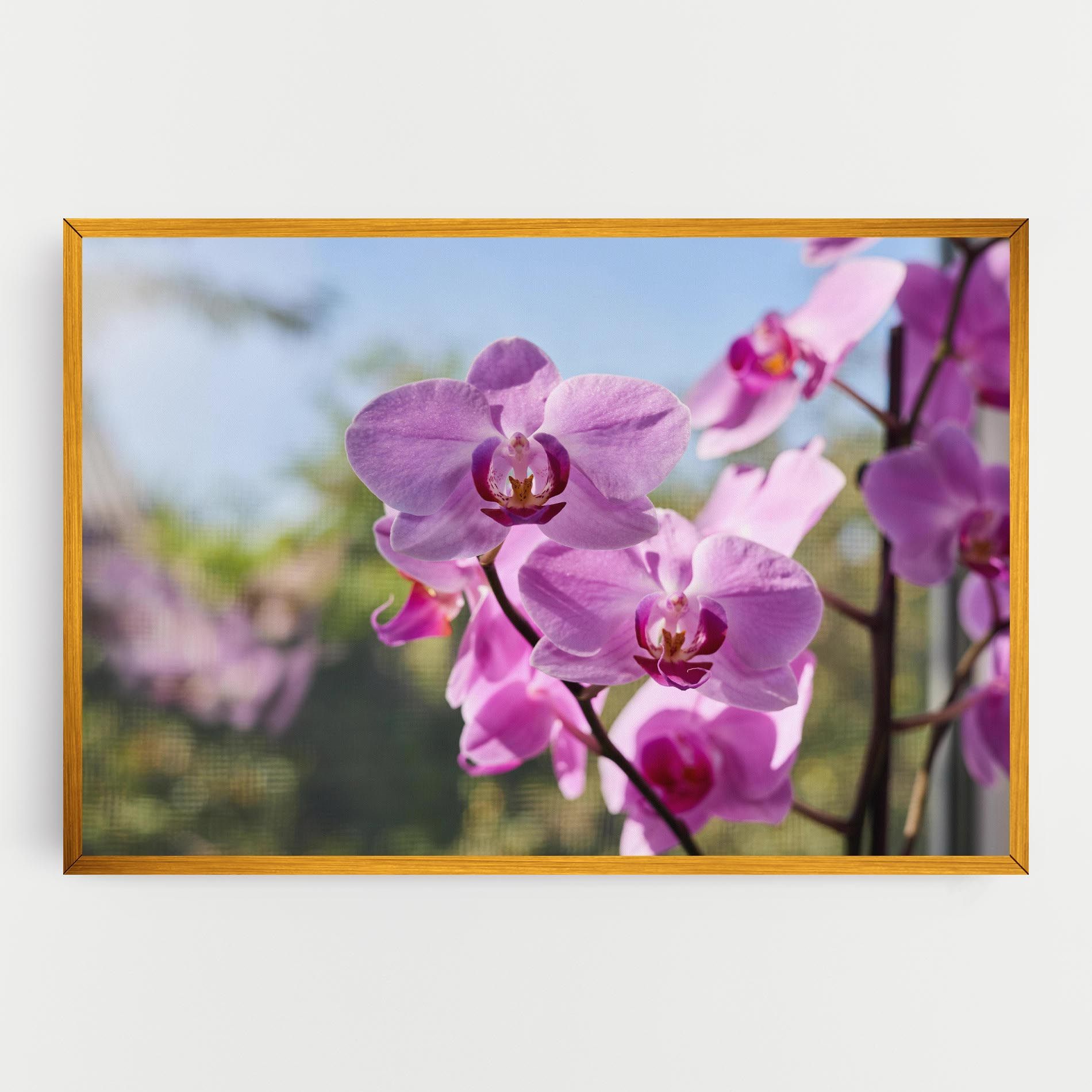 Orchids In The Garden mockup 0