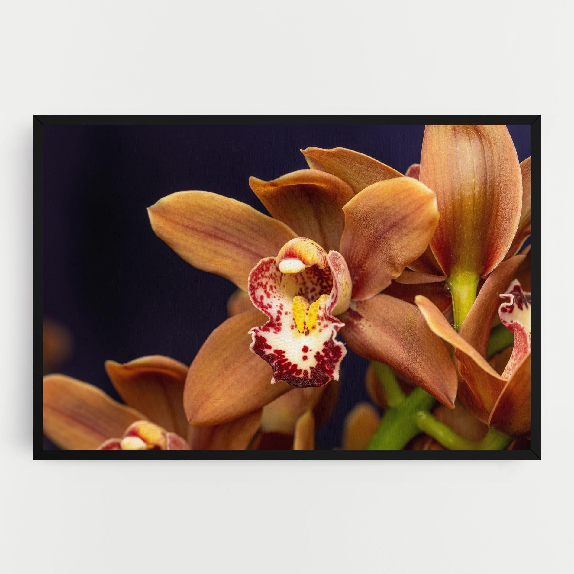 Картина на платно Dirty Orange Orchid mockup 0