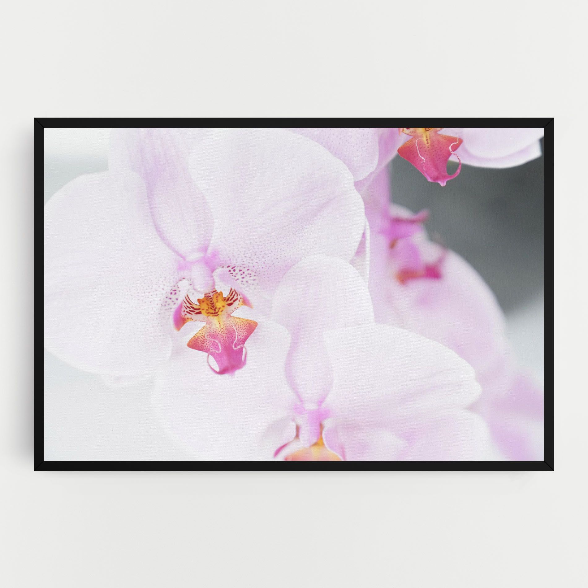 Light Purple Orchid mockup 0