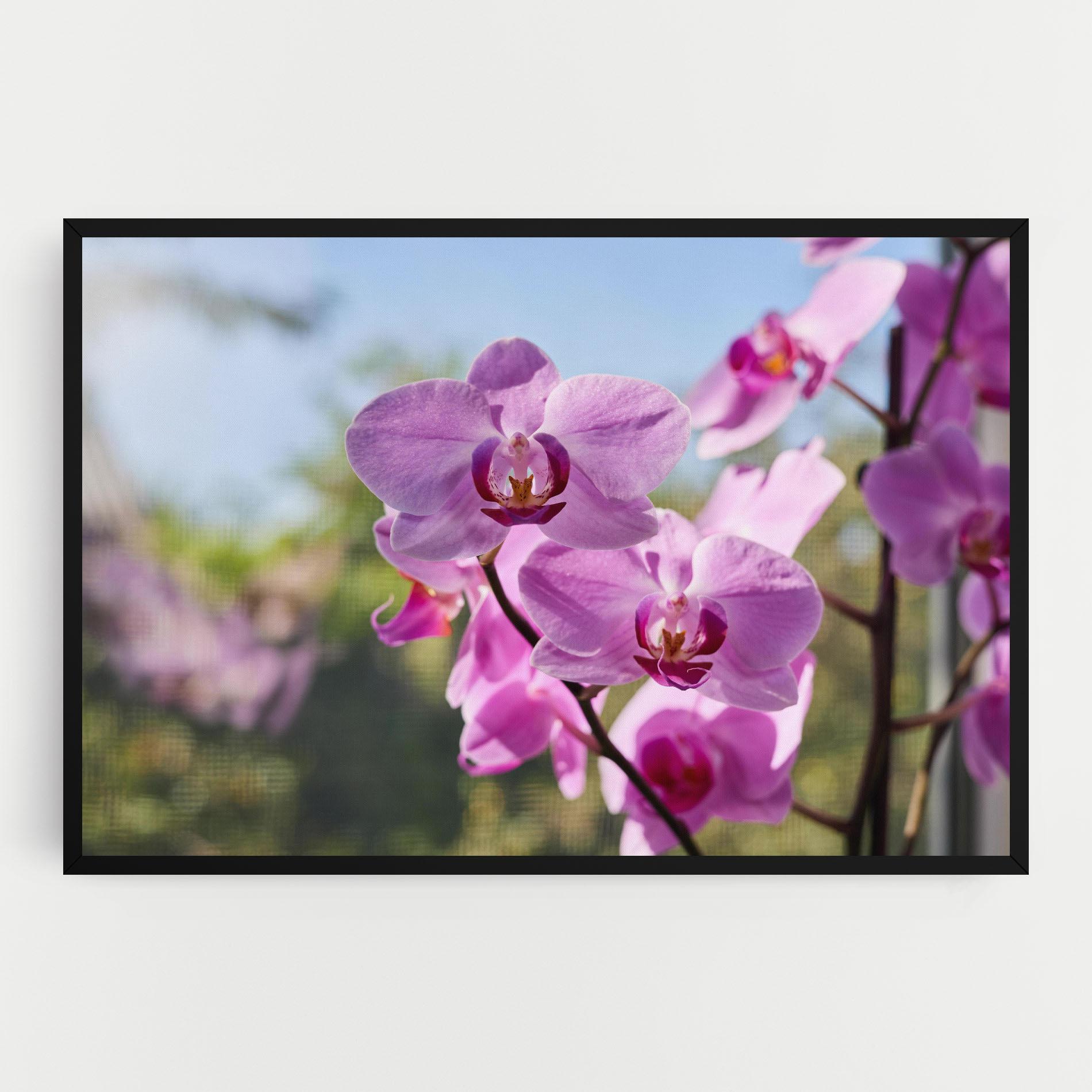 Картина на платно Orchids In The Garden mockup 0